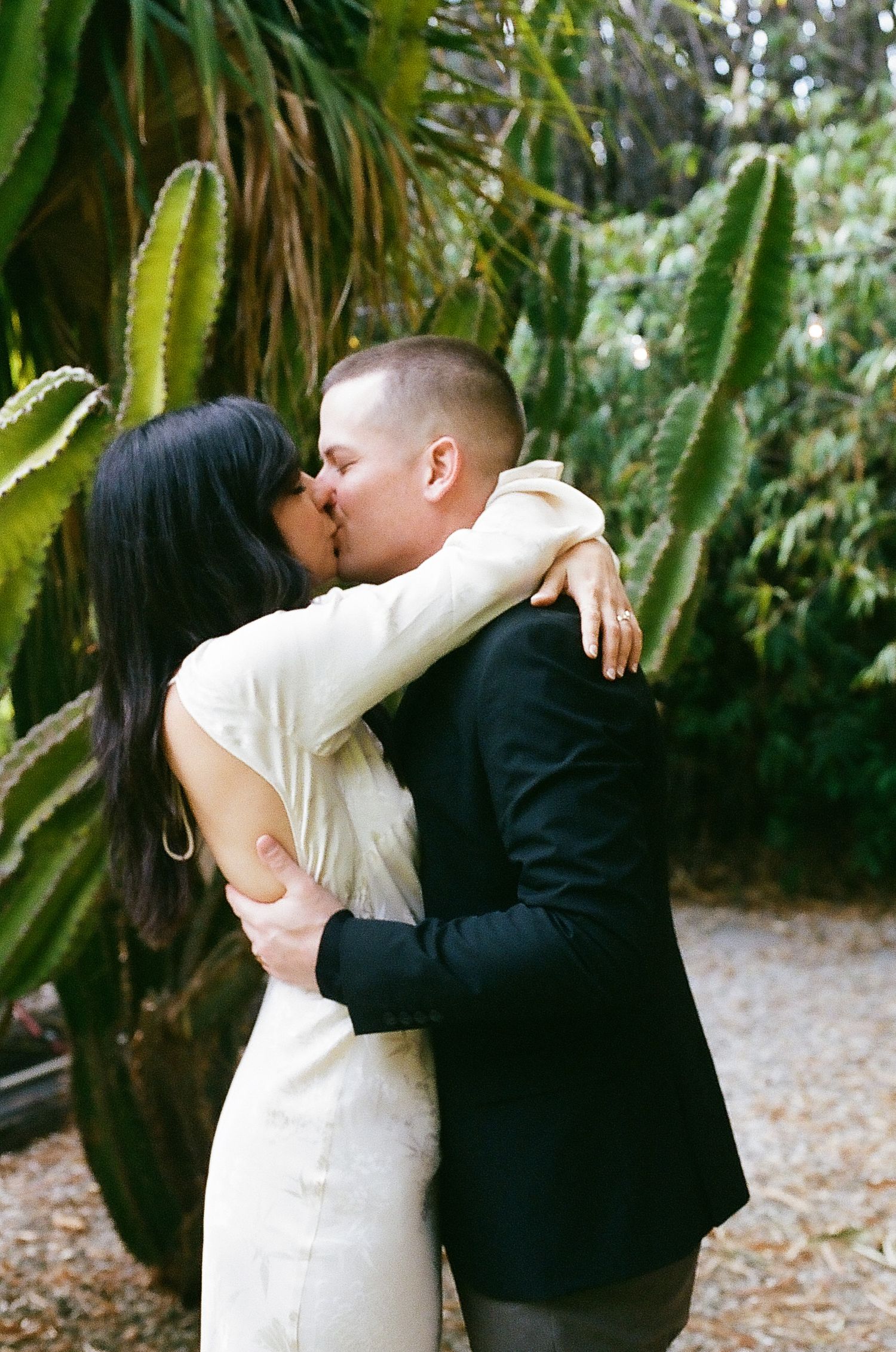 Romantic sequence showing embrace against backdrop of green cacti and foliage.