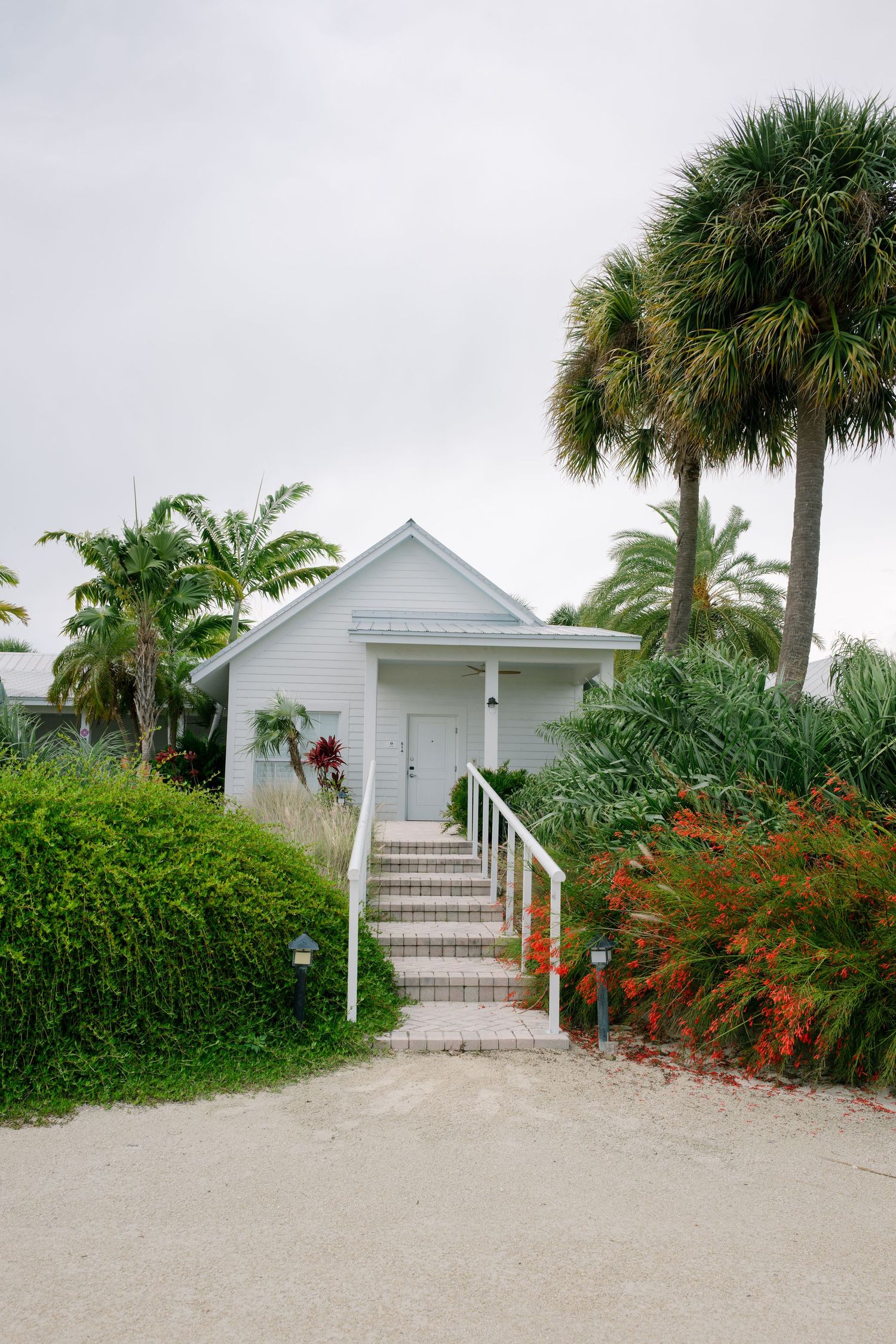 A charming white cottage with steps and railings surrounded by lush tropical palm trees and colorful plants.