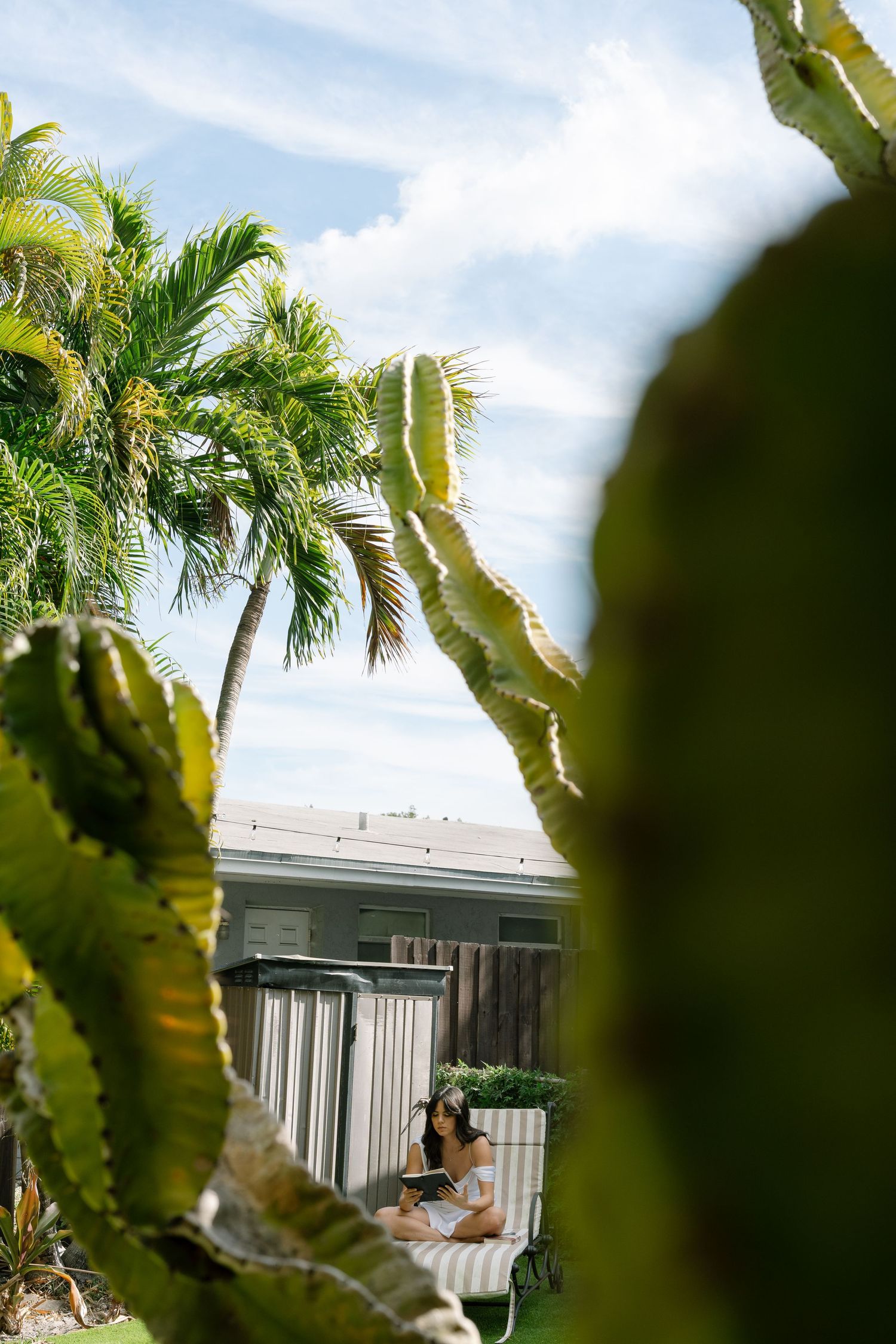 Palm trees and tropical foliage frame a modern building exterior under blue sky.