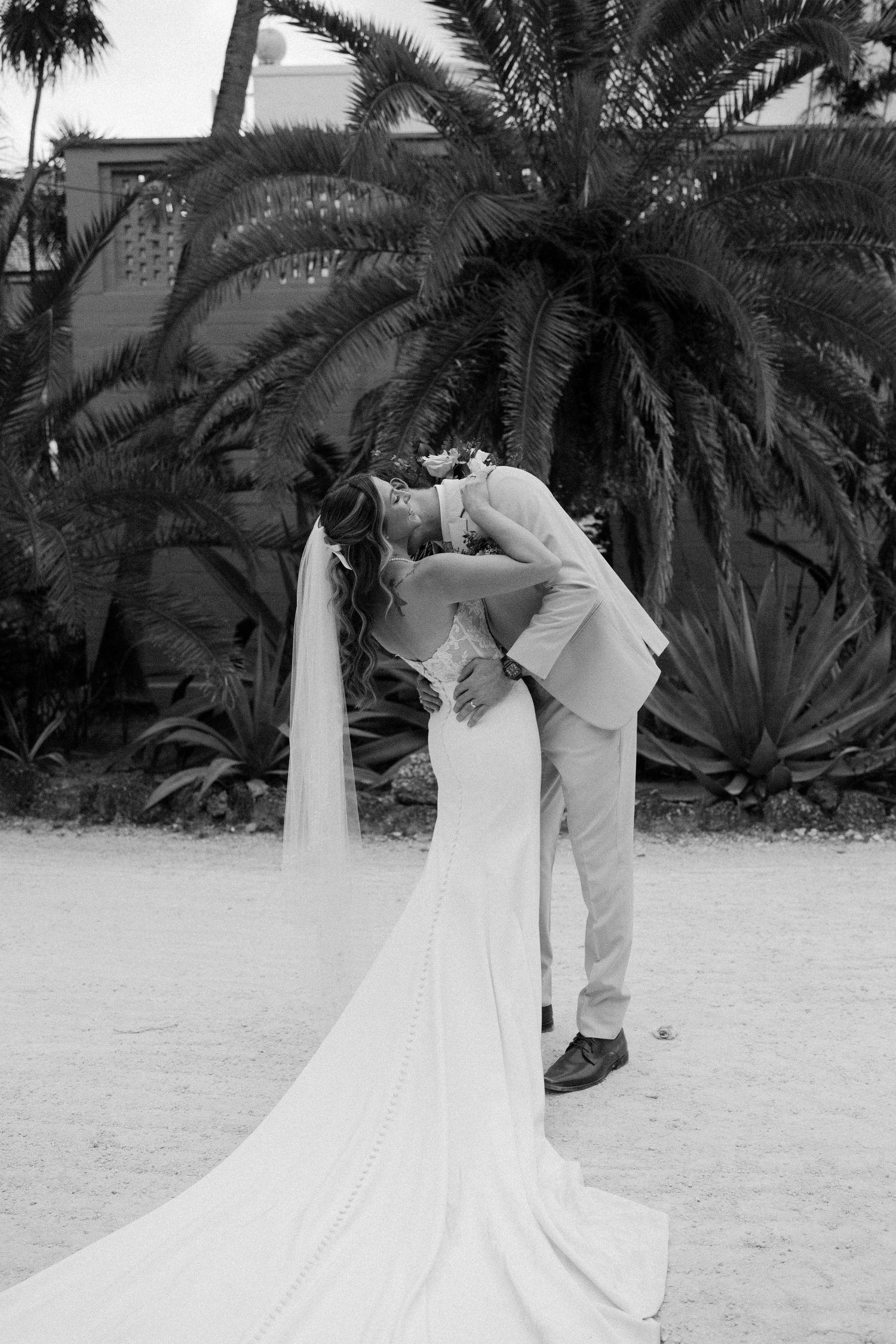A romantic black and white wedding photo showing a couple sharing a kiss in front of a palm tree.