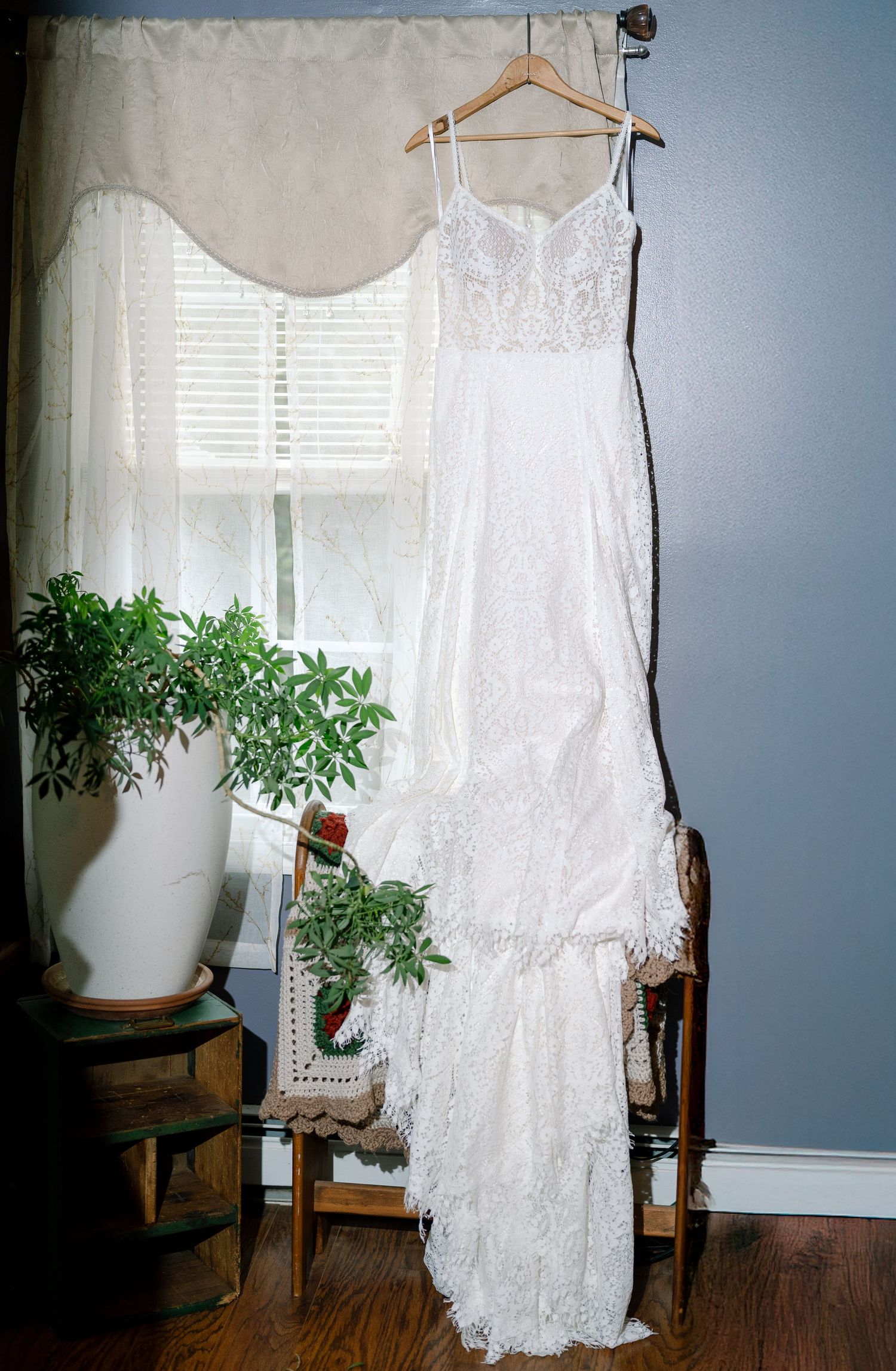 White lace wedding dress hanging on display in room with blue walls and houseplants.