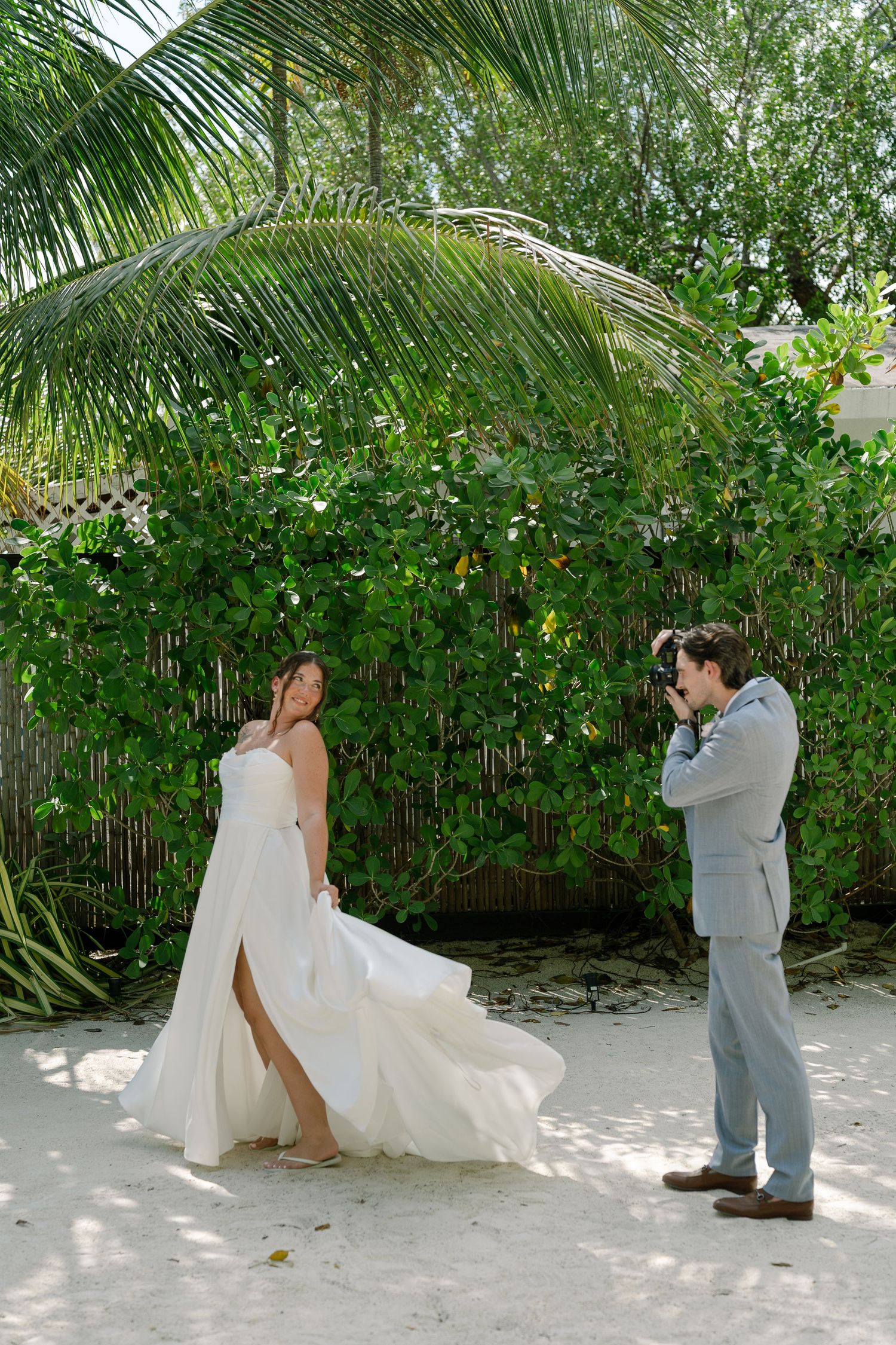 A tropical outdoor scene with palm trees and lush foliage.