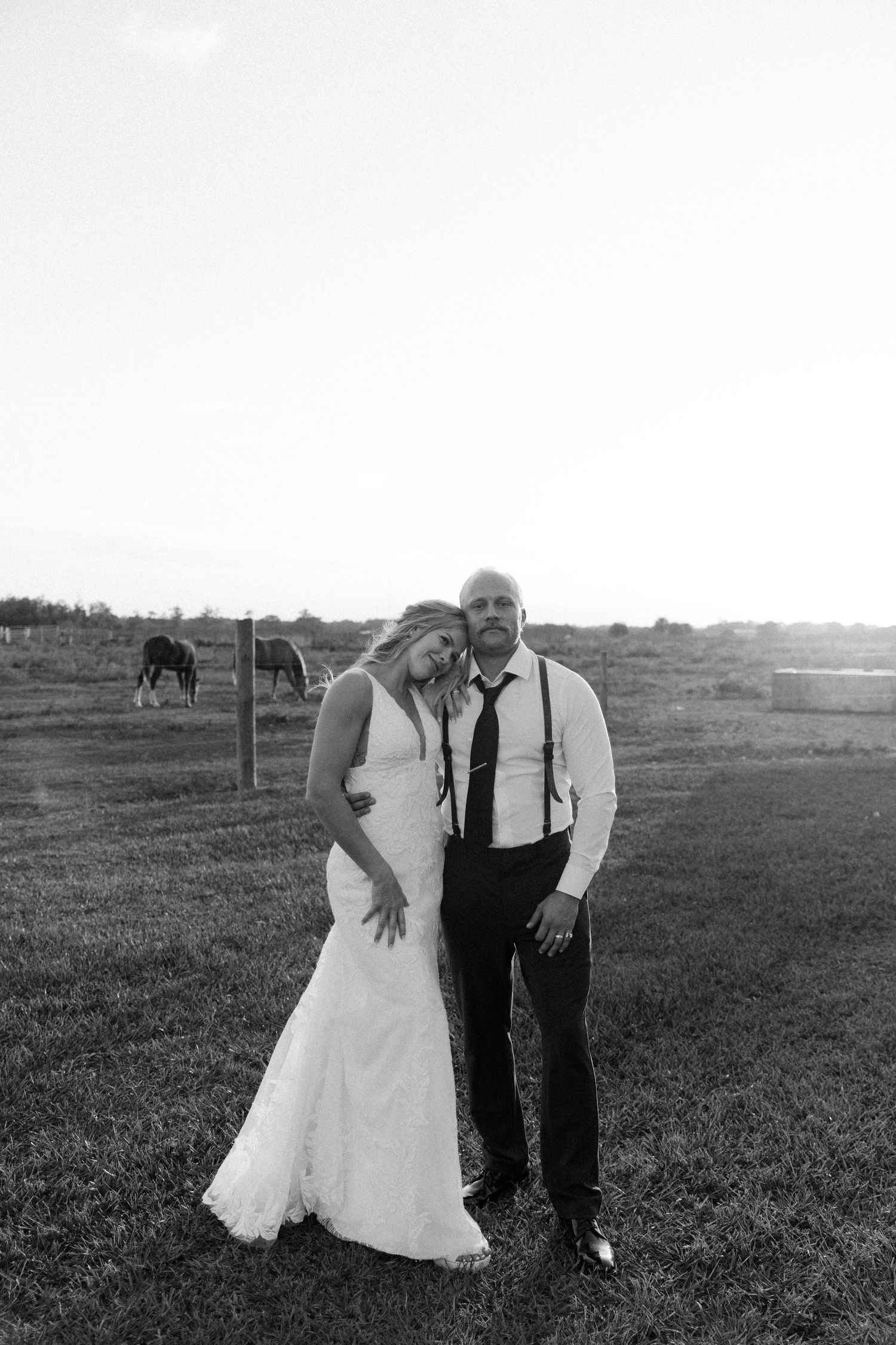 Black and white wedding photo of couple sharing an intimate moment in a rustic field with horses grazing in background.