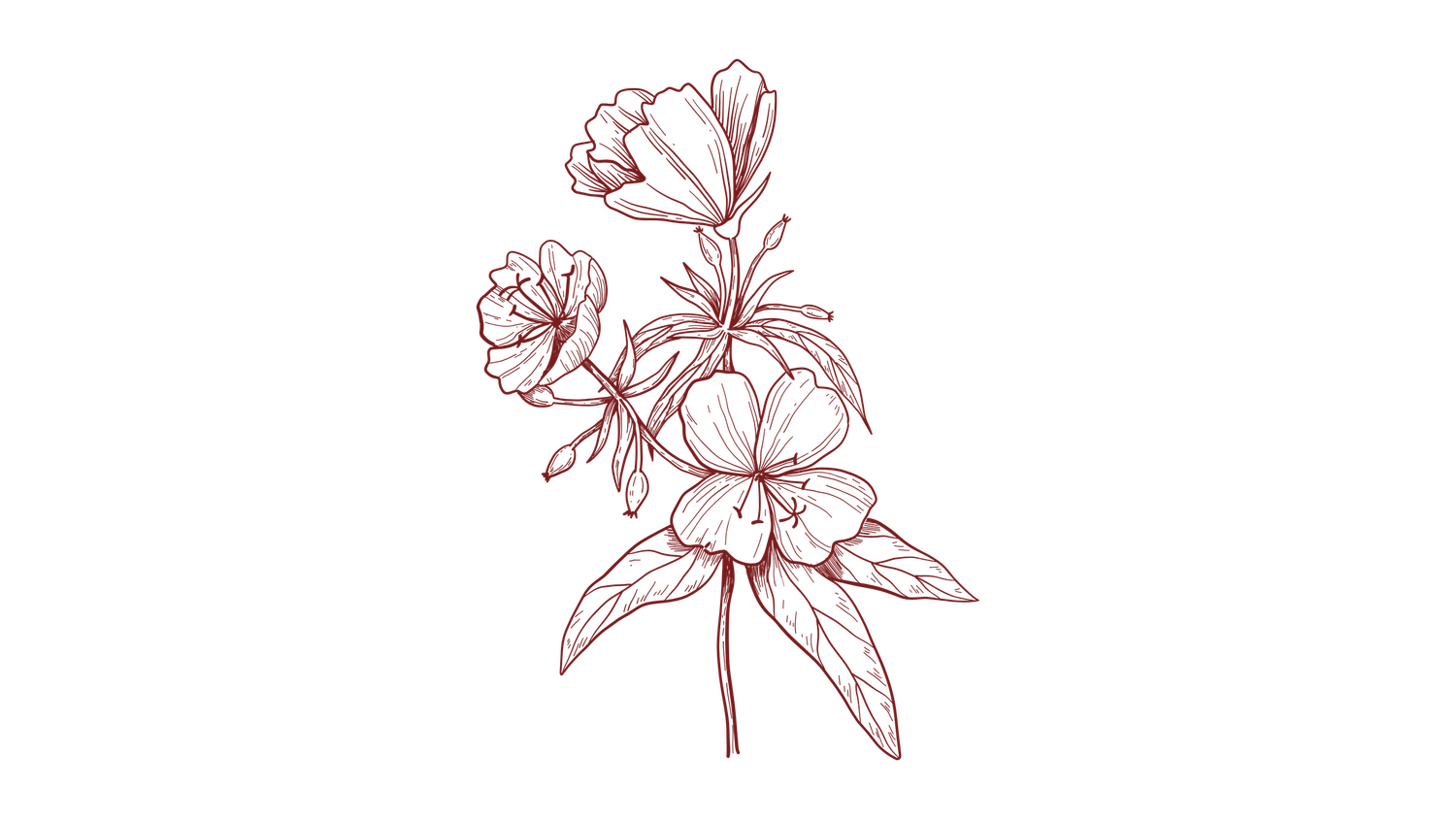 Simple brown line drawing of a floral arrangement with roses and leaves on a white background.