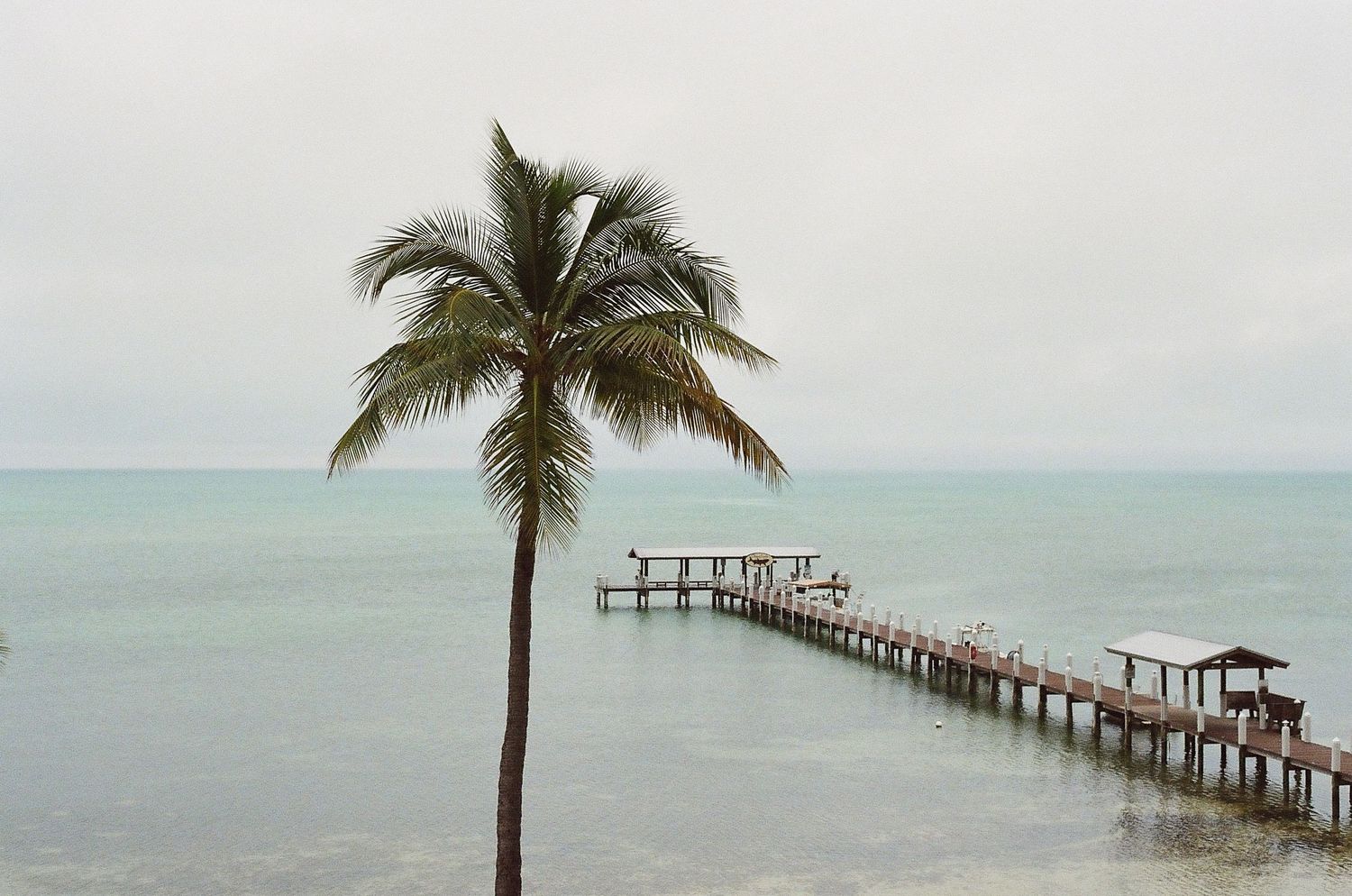 Long wooden pier extending into turquoise ocean waters with a palm tree in the foreground.