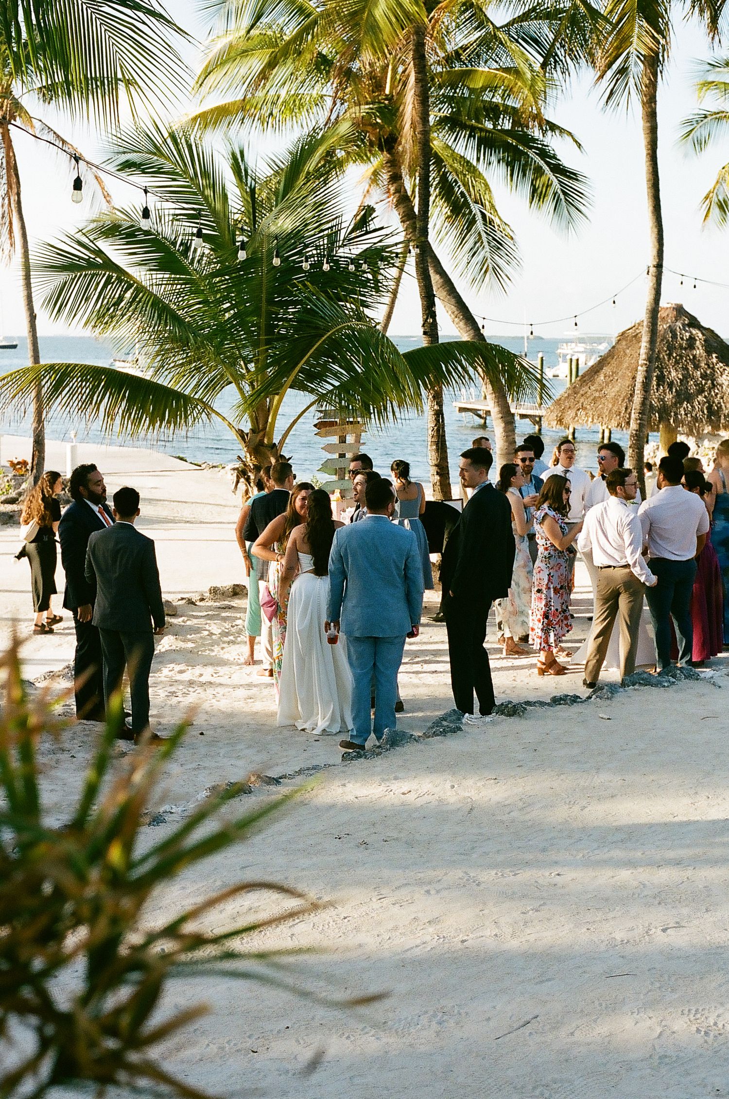 An image of a group of people, likely at a wedding reception, gathered on a beach with palm trees in the background.