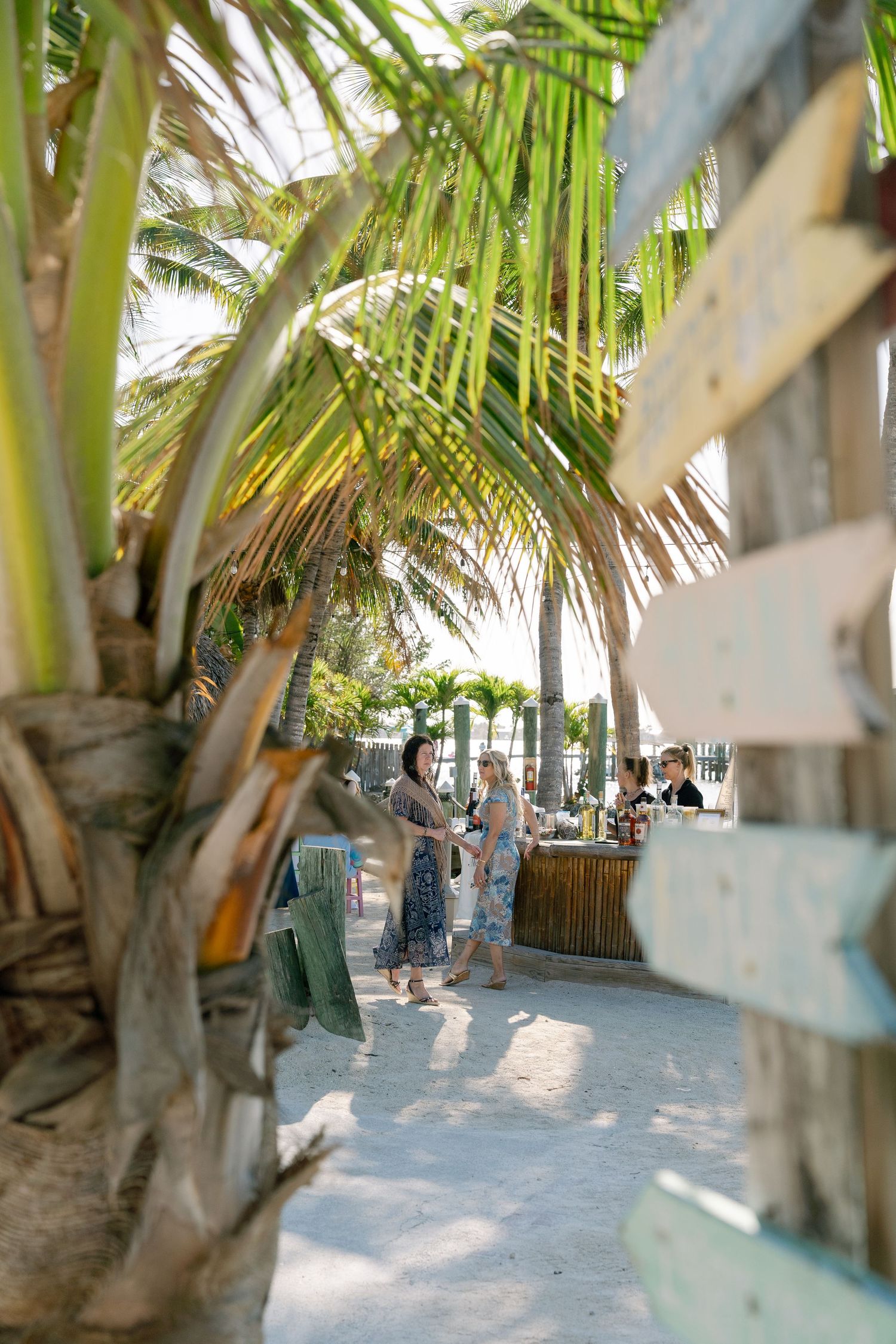 A tropical beach scene with palm trees lining a walkway leading to a beachfront restaurant or bar.