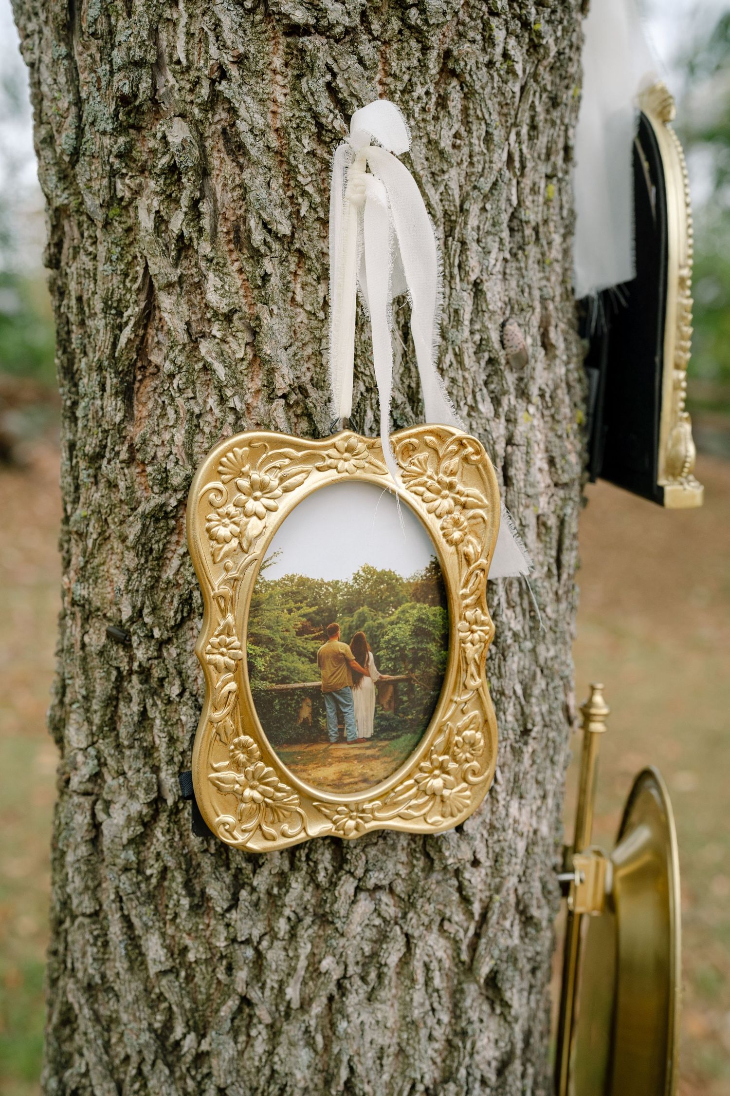 Ornate gold-framed mirrors hang decoratively on the bark of a large tree trunk.