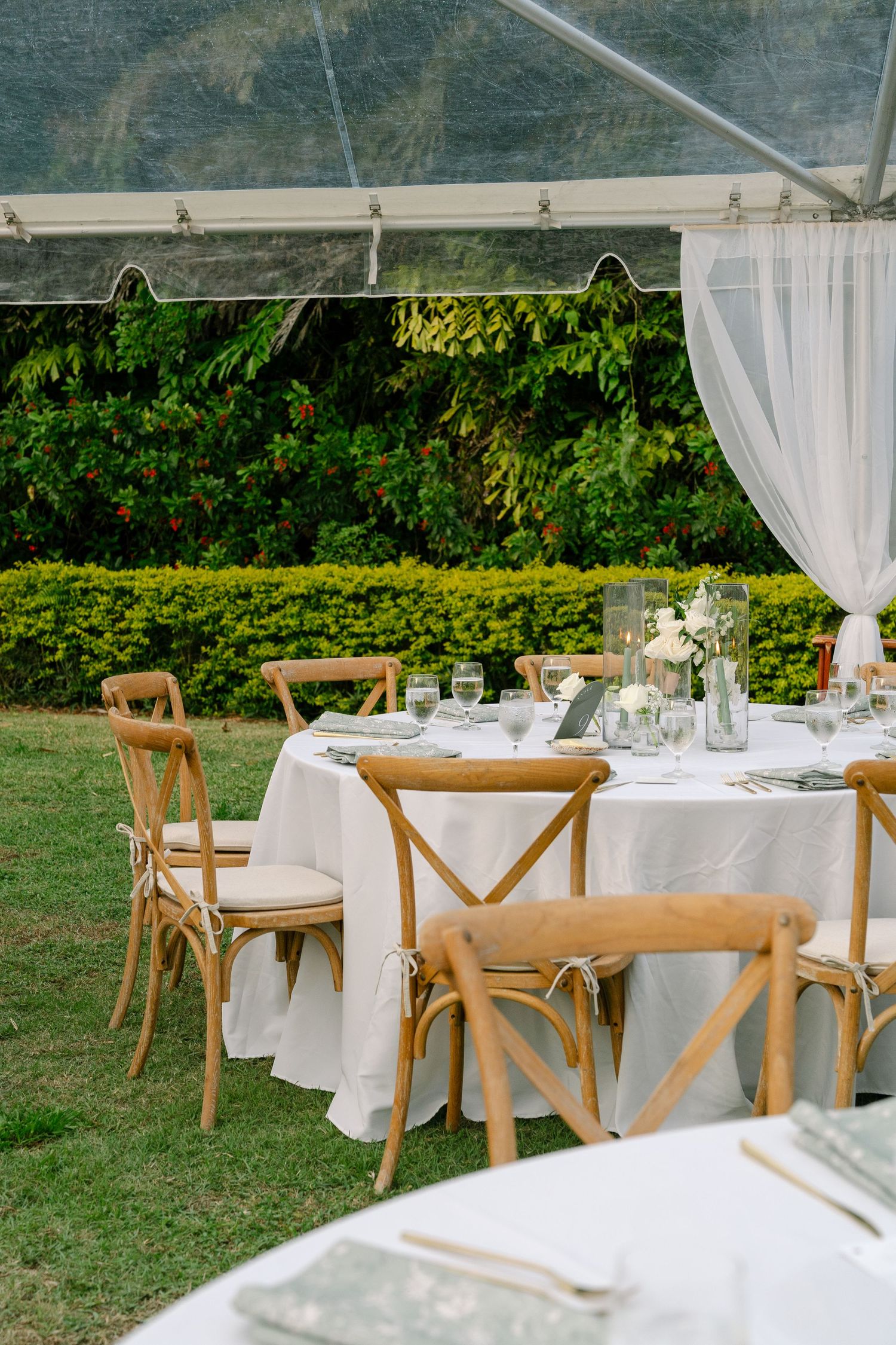 Elegant outdoor wedding reception under clear tent with wooden cross-back chairs and white linen tablecloths surrounded by greenery.