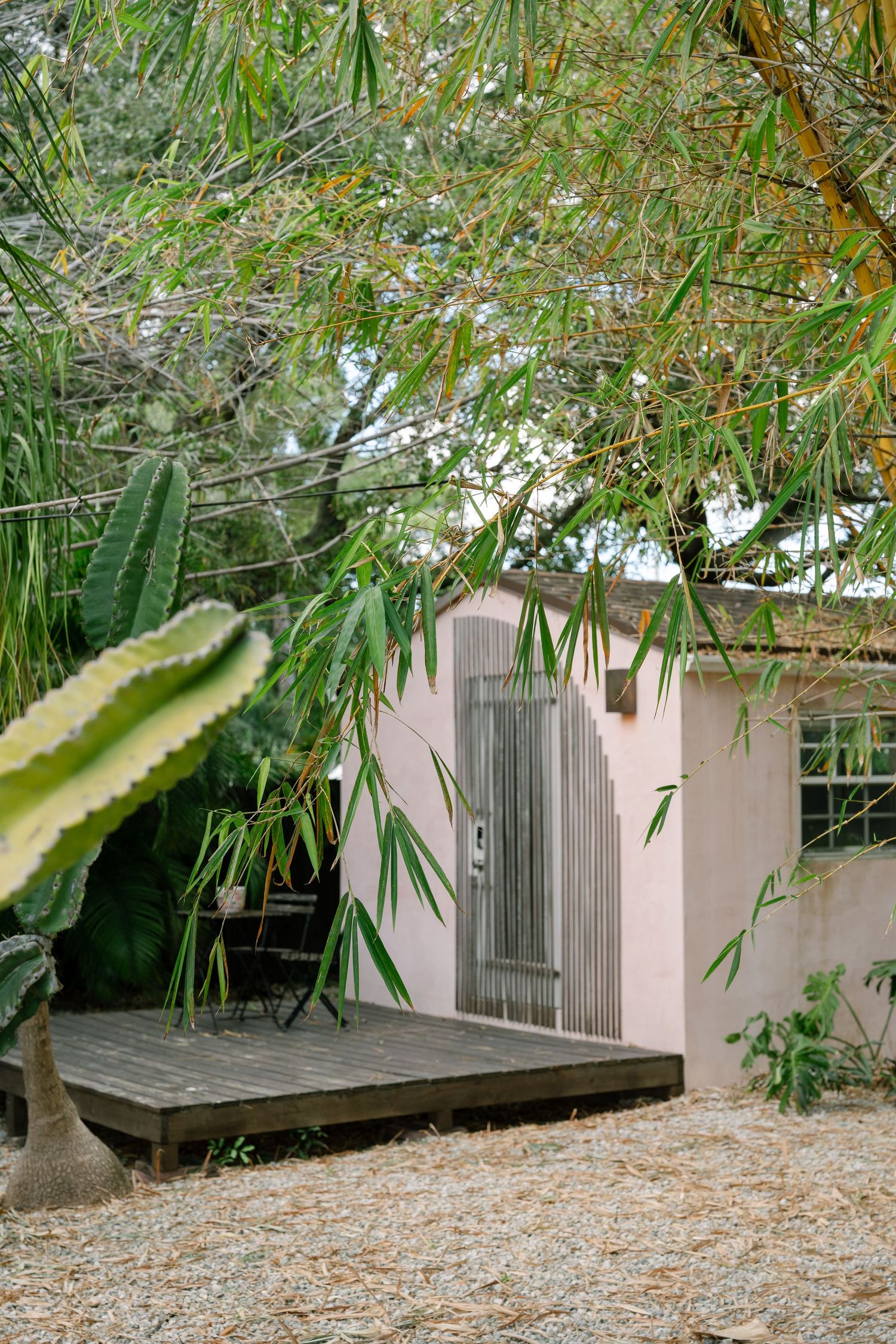 Tropical garden setting with bamboo trees and pink building exterior in natural daylight.