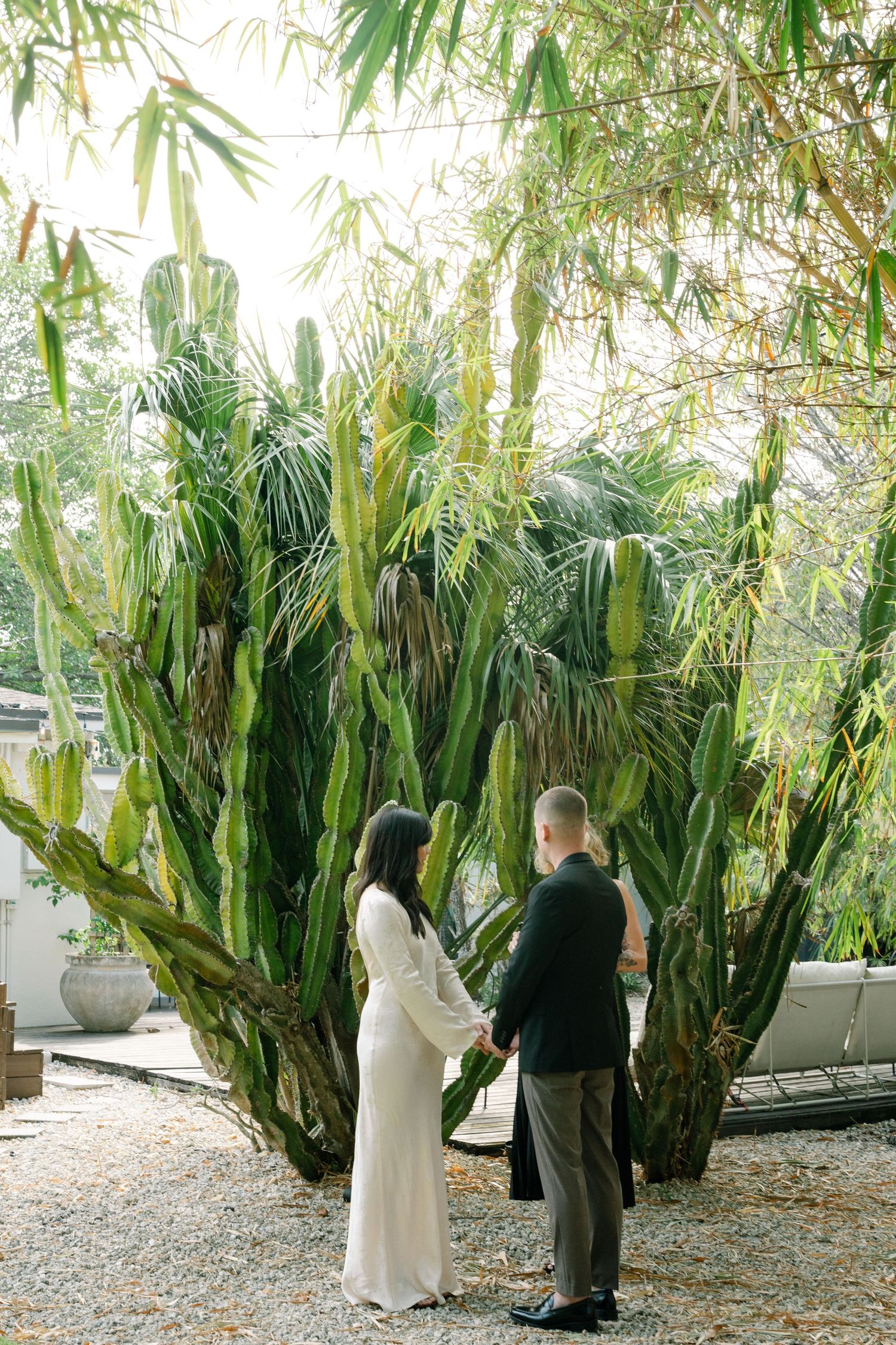 People in light colored clothing walk among tall cacti and bamboo in a garden setting.