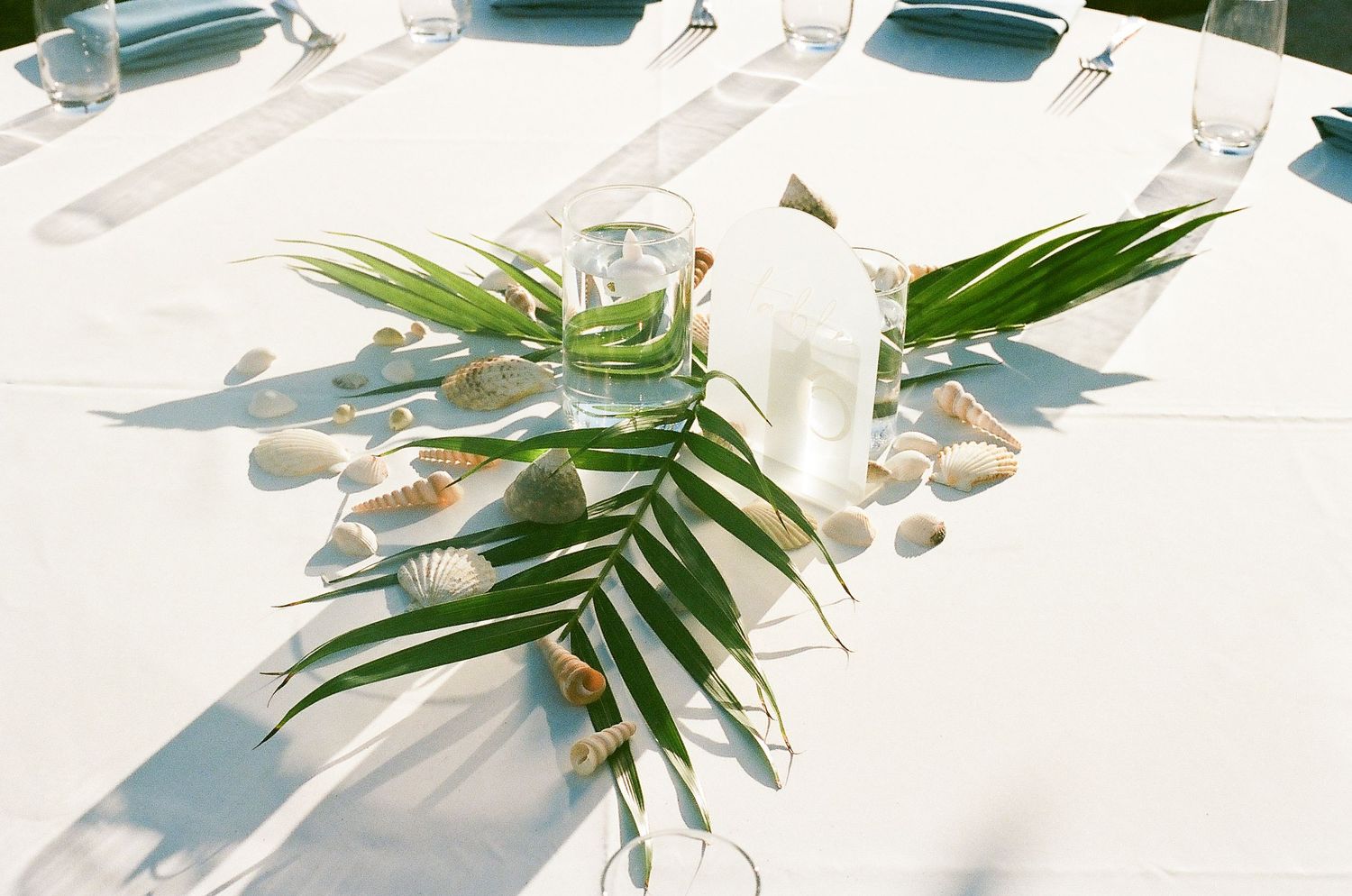 White place setting with modern tableware, tropical palm leaves, and scattered seashells on a light background.