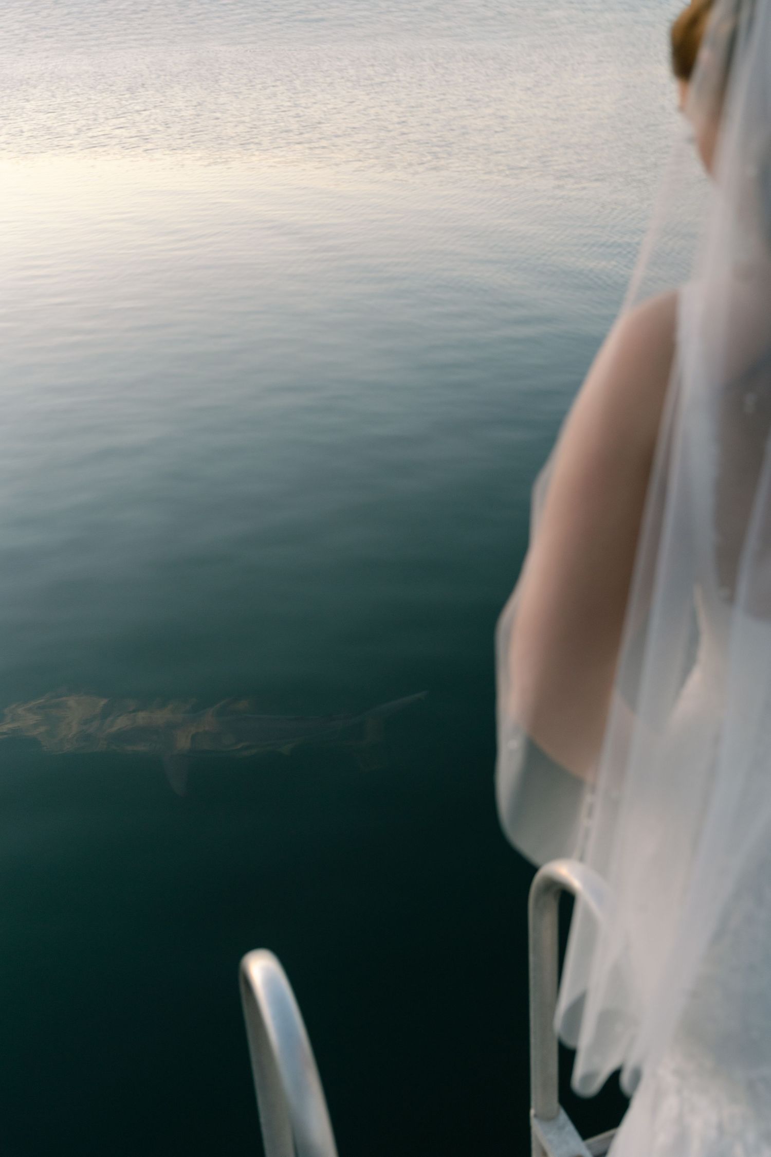A dreamy view of calm ocean waters seen through a flowing white wedding veil on a sunny day.