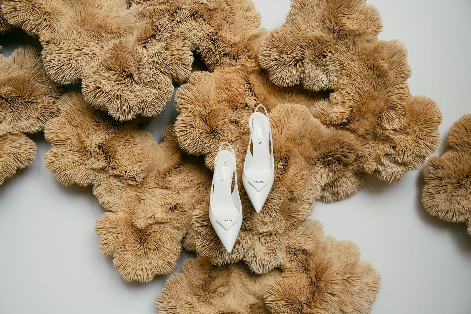 Soft plush teddy bear with white paper butterfly decorations arranged on a neutral background.
