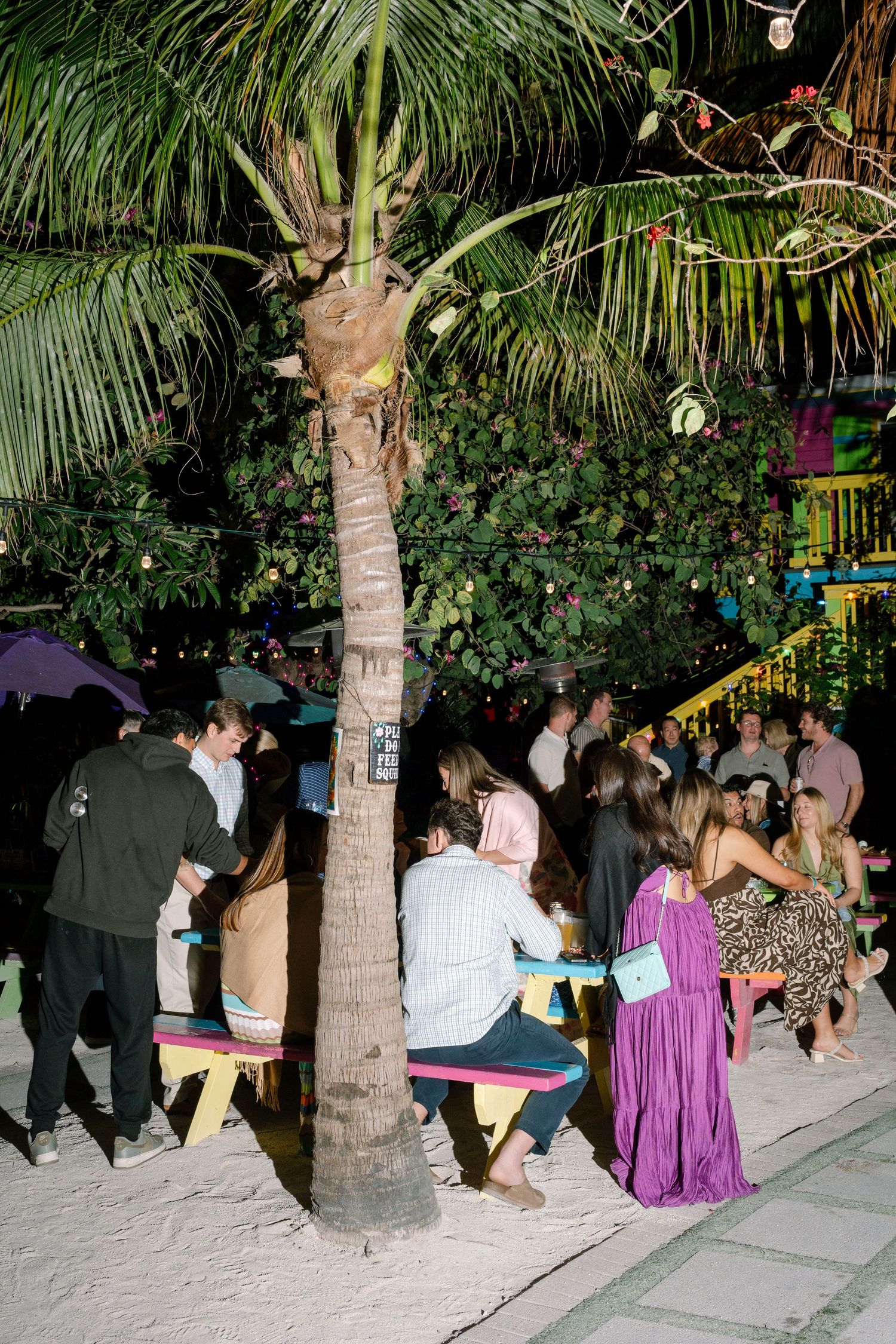 Nighttime scene of palm trees and people gathering at an outdoor venue.