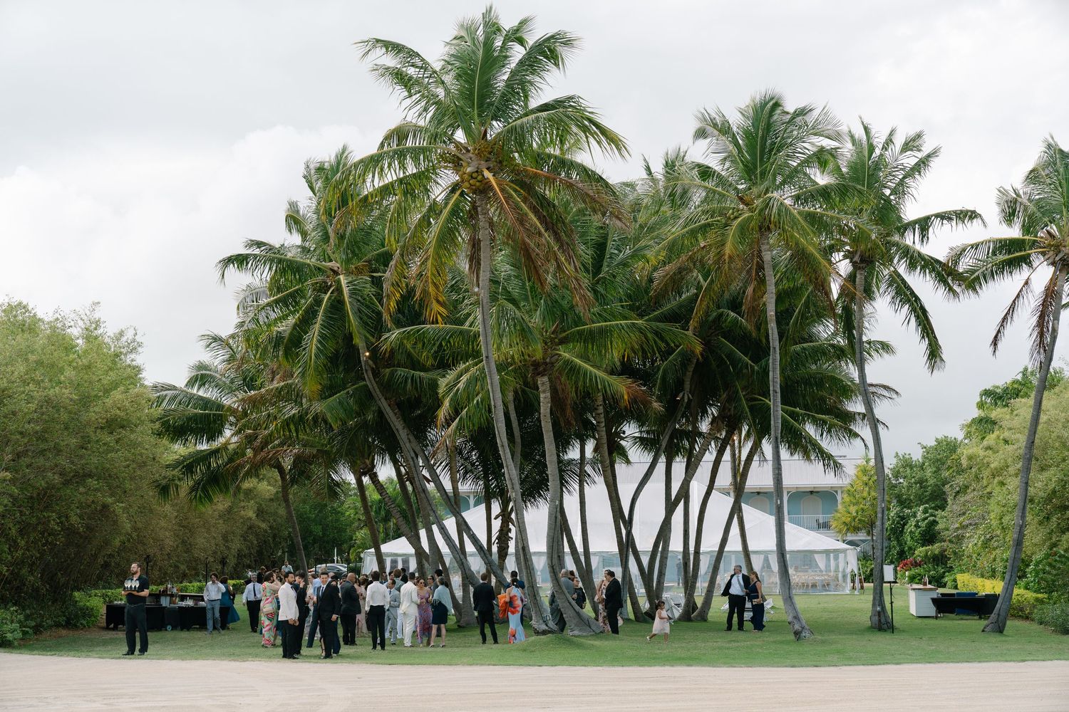 Guests mingle on a tropical lawn surrounded by tall palm trees at an outdoor wedding reception.