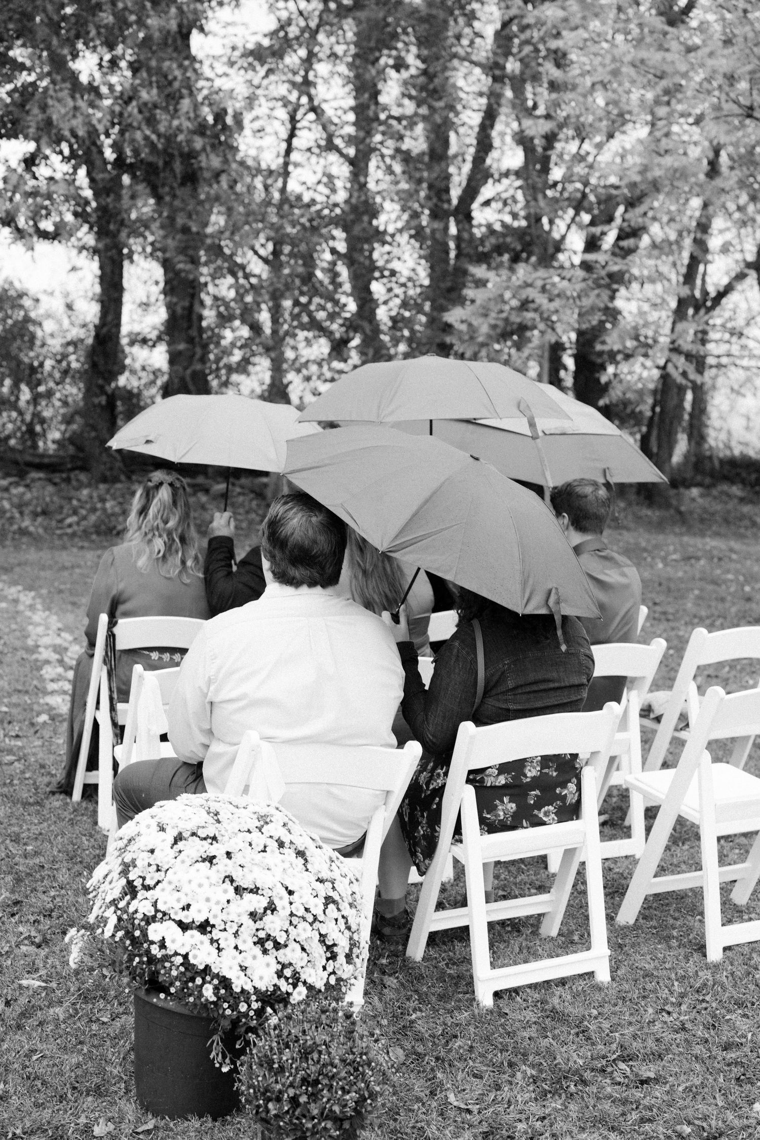 Wedding guests hold umbrellas while seated in white chairs during an outdoor ceremony on a rainy day.