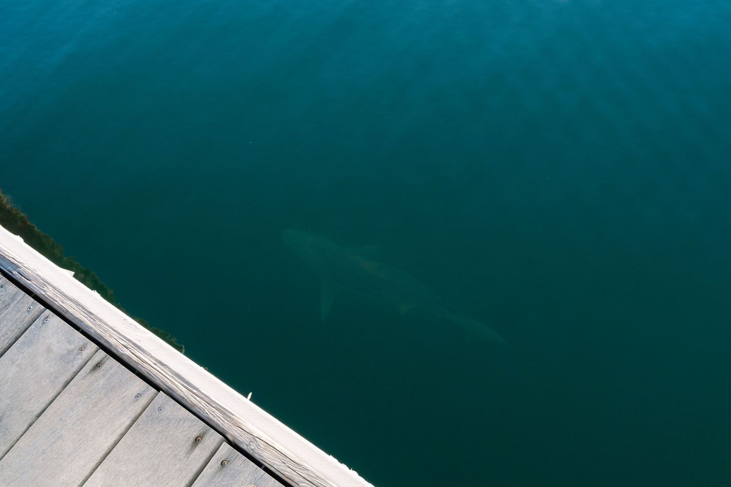 Minimalist view of a wooden dock corner against deep turquoise water creating a geometric composition.