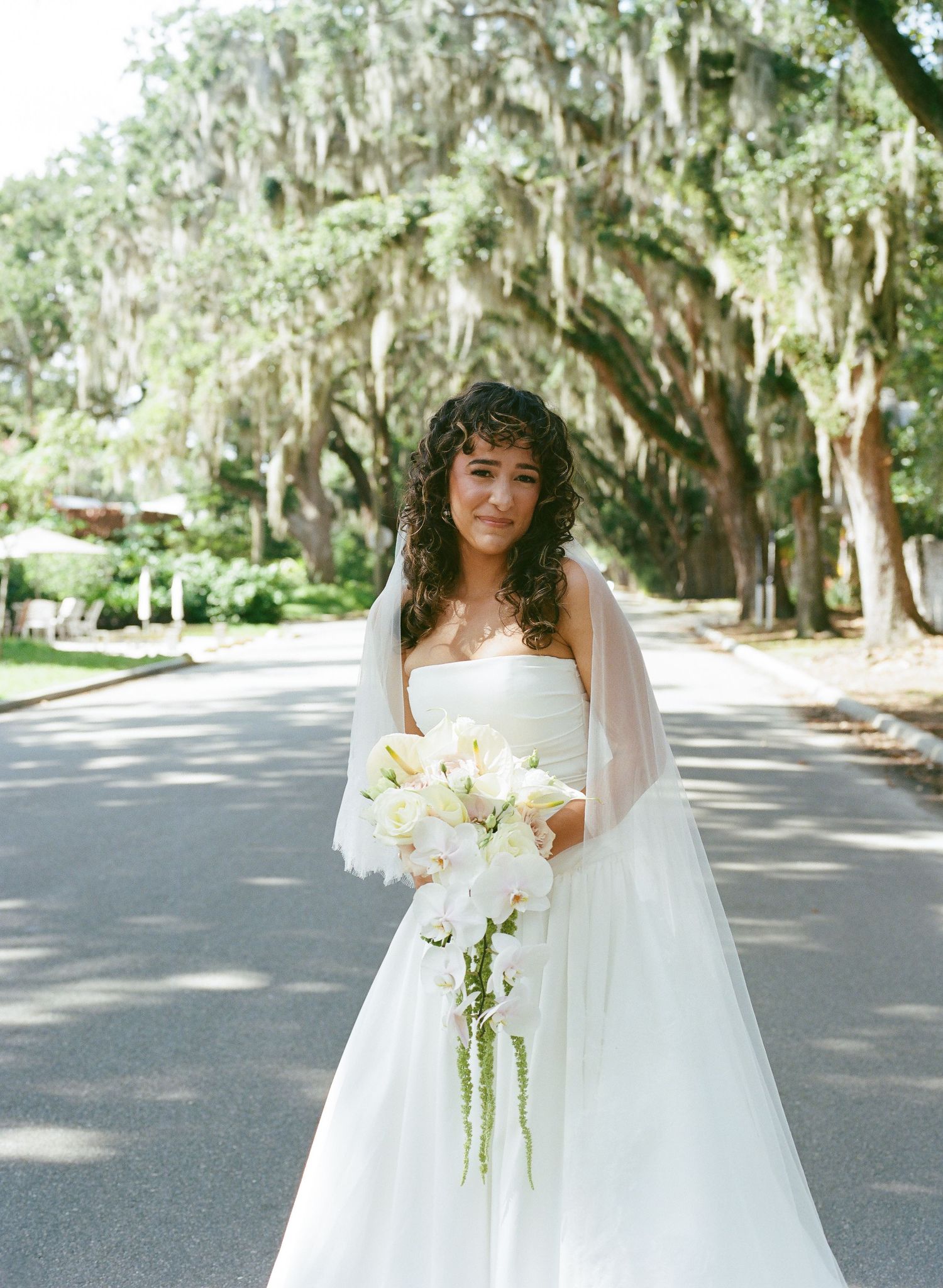 A bride in a white wedding dress and veil holds a cascading bouquet of white flowers on a Spanish moss-lined street.