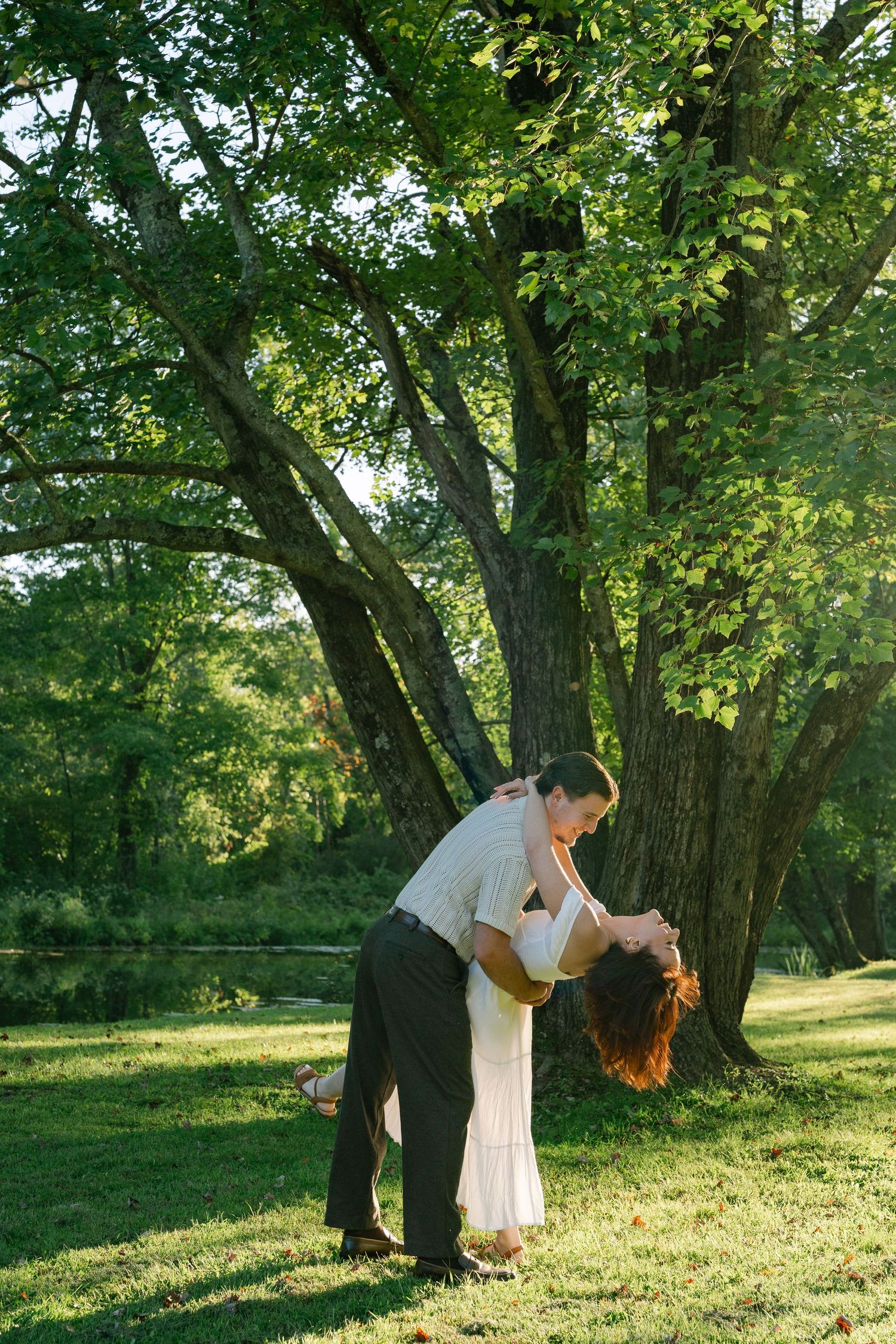 A couple shares a romantic dip kiss under a large green tree in a sunlit park.