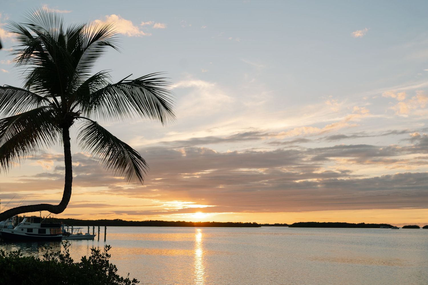 Stunning tropical sunset over calm ocean waters with silhouetted palm trees framing the view.