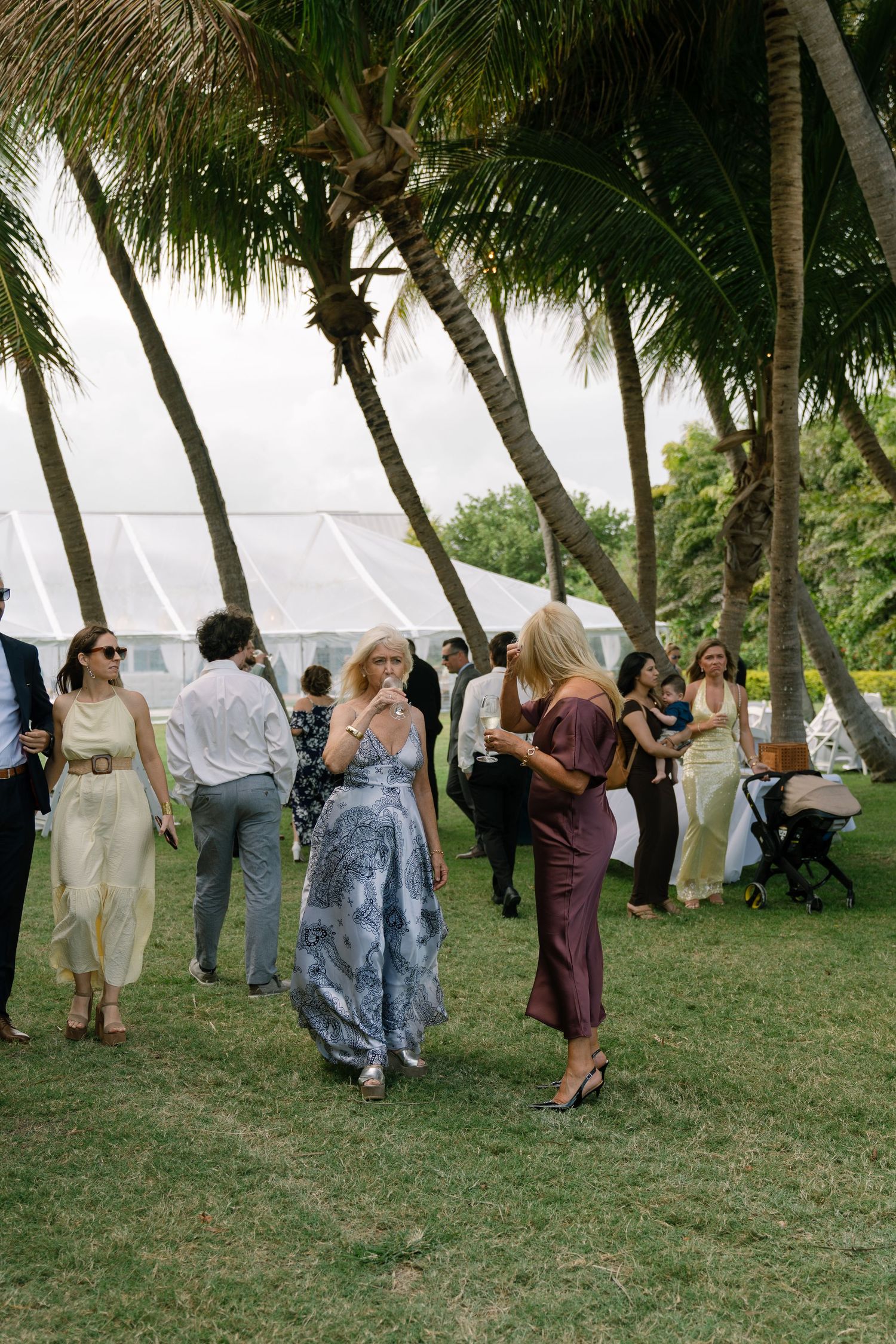 Wedding guests in elegant attire socialize on a green lawn beneath swaying palm trees near a white tent.