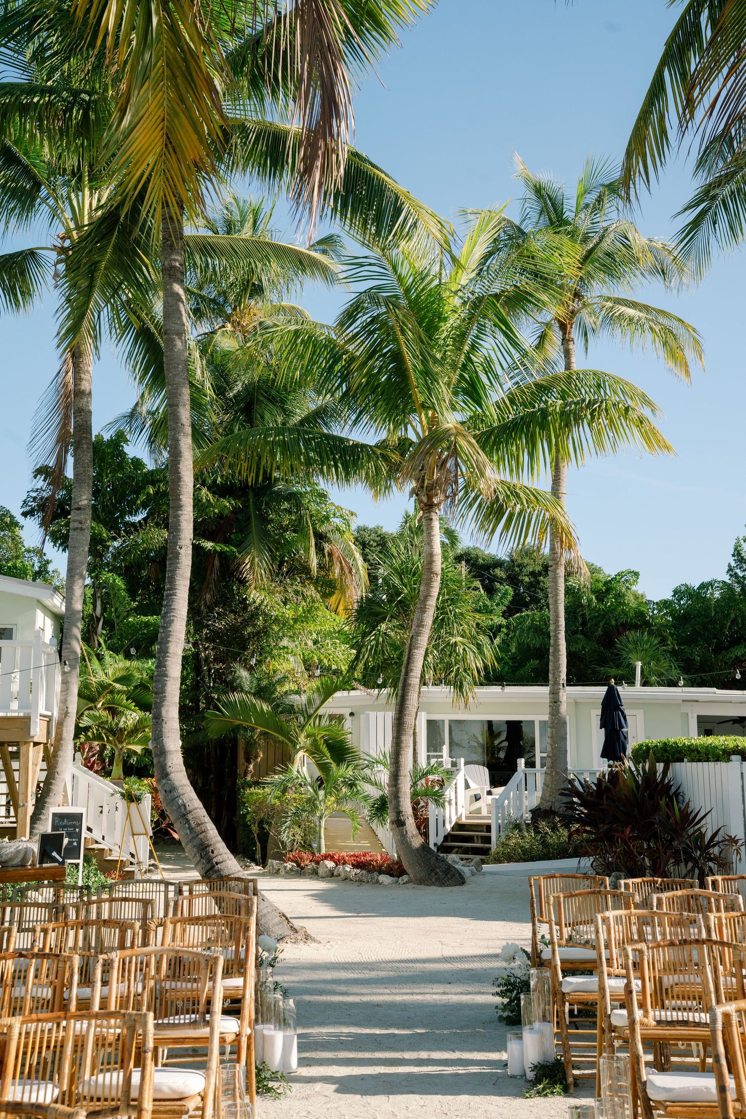 Tropical beach wedding ceremony setup with wooden chairs lined up between palm trees.