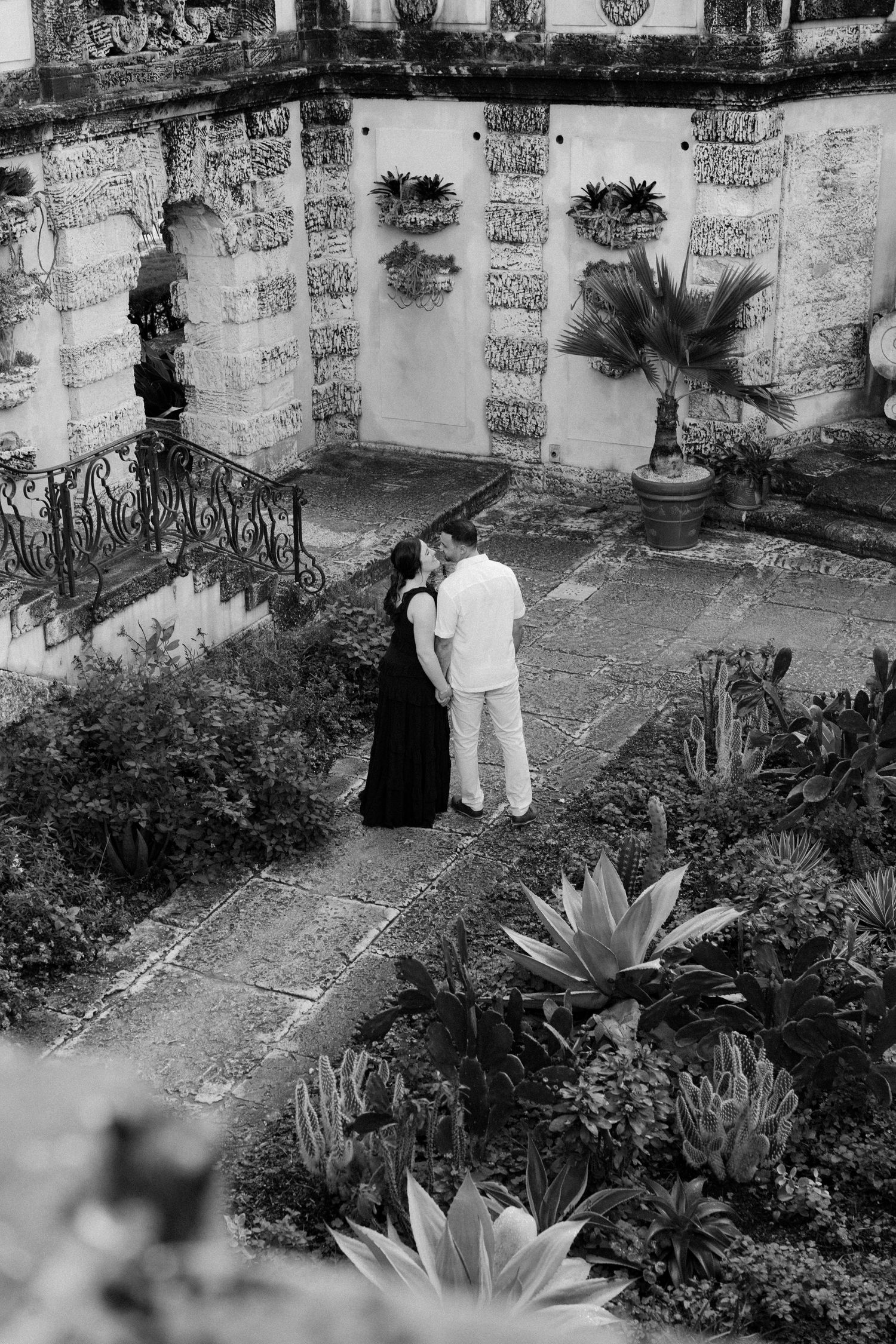 A black and white scene of people walking through a garden path with tropical plants.