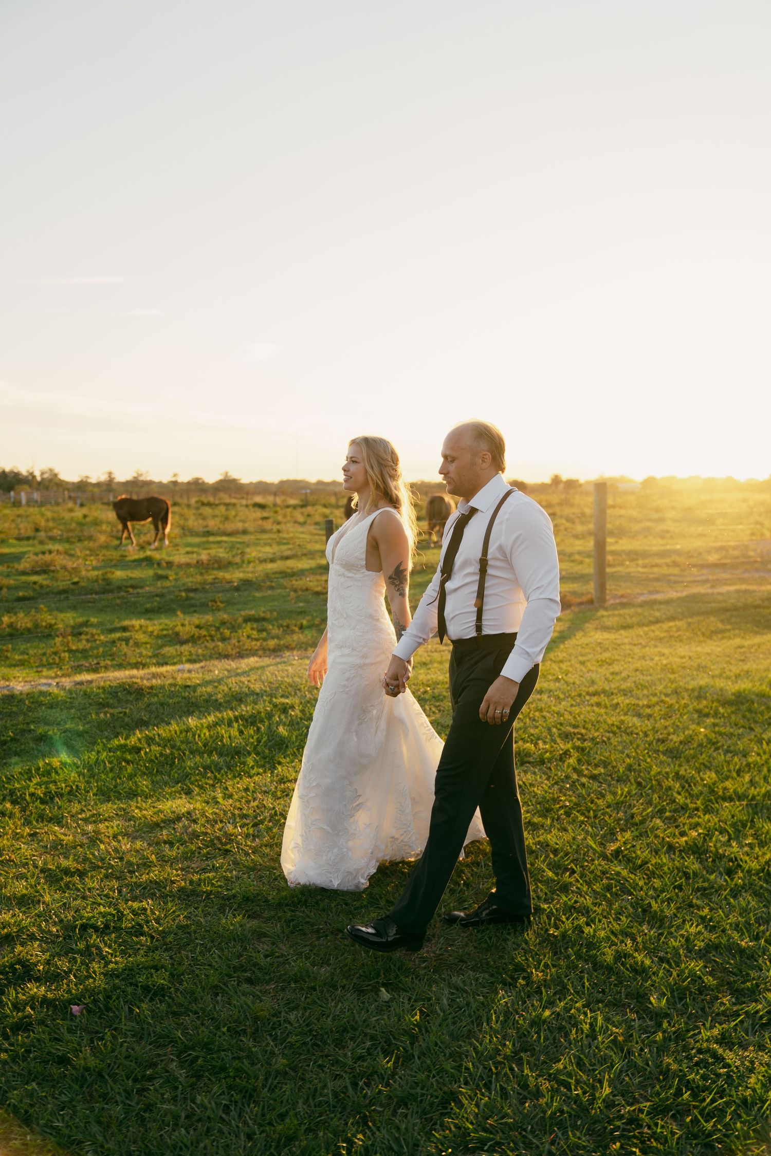 Couple in wedding attire walking together through a sun-drenched golden meadow as cows graze in the distance at sunset.