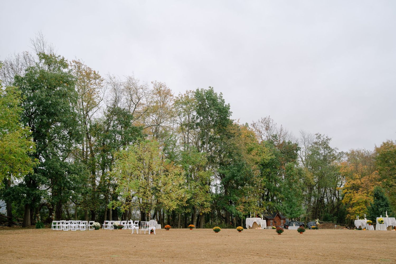 A panoramic view of autumn trees with changing foliage along a grassy landscape under an overcast sky.