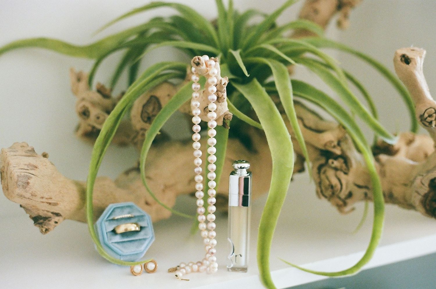 Air plants and vintage buttons arranged artistically with pearl necklaces on a white surface.