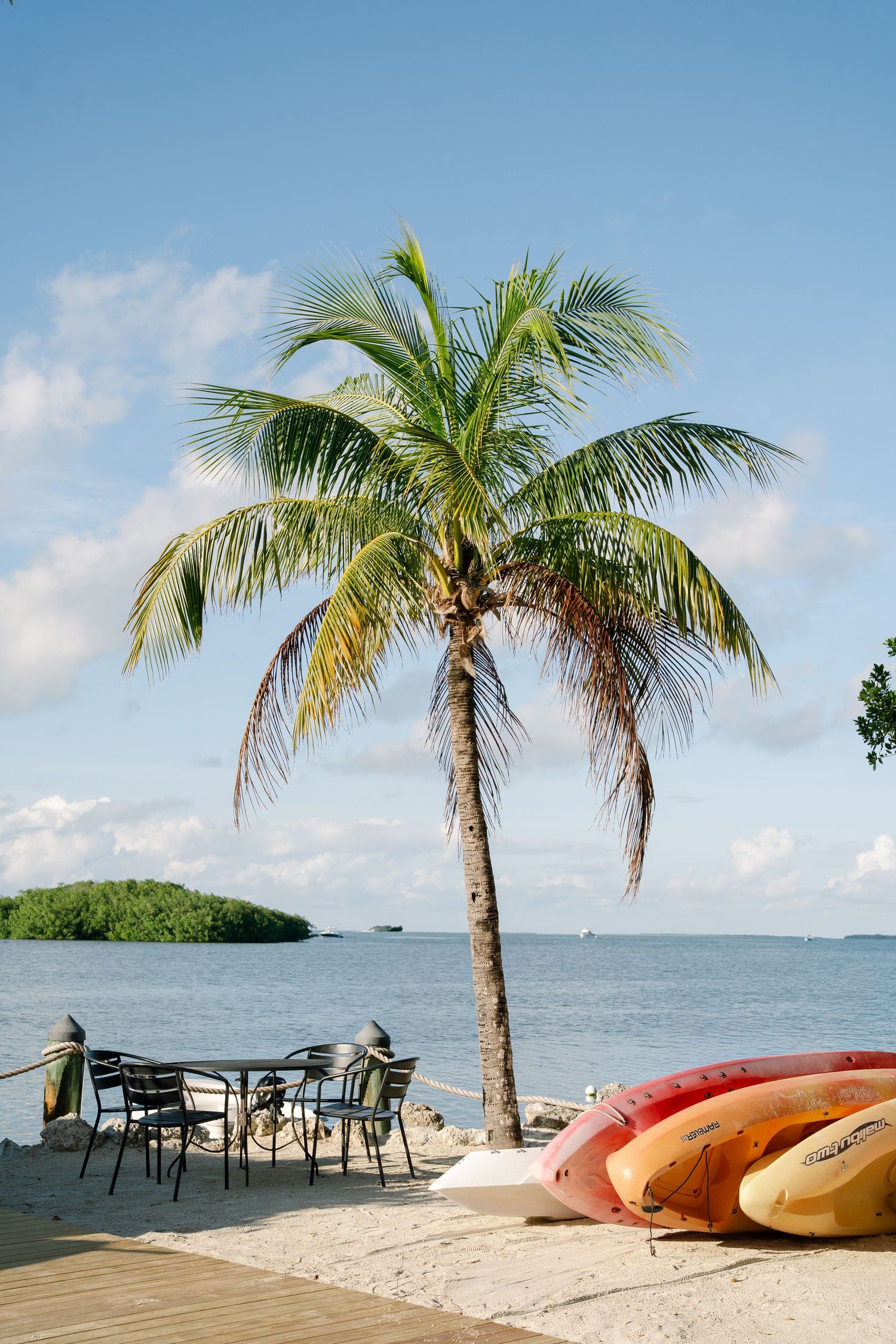 Scenic beachfront deck with palm trees, kayaks, and outdoor furniture overlooking the tropical ocean waters.