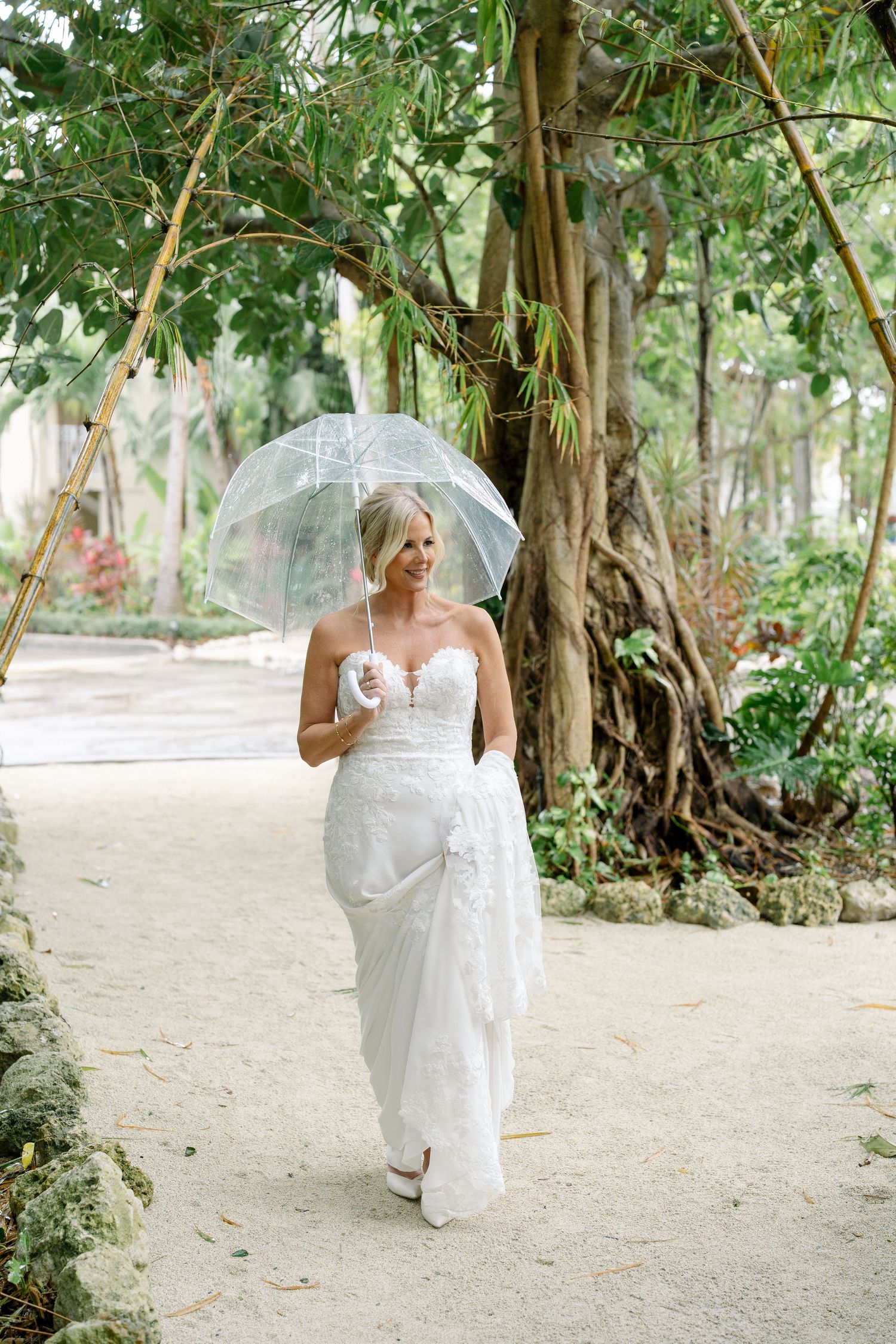 A bride in white lace gown holds clear umbrella while walking along a tropical garden path.