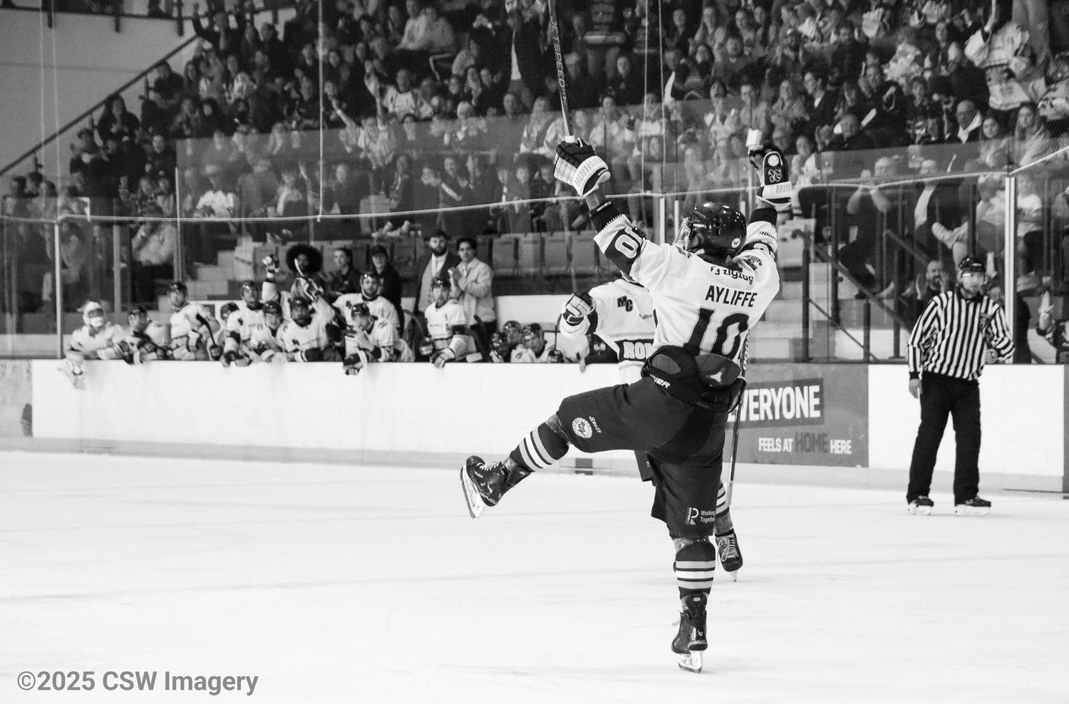 Wide angle view of hockey players competing on ice with spectators in the background.