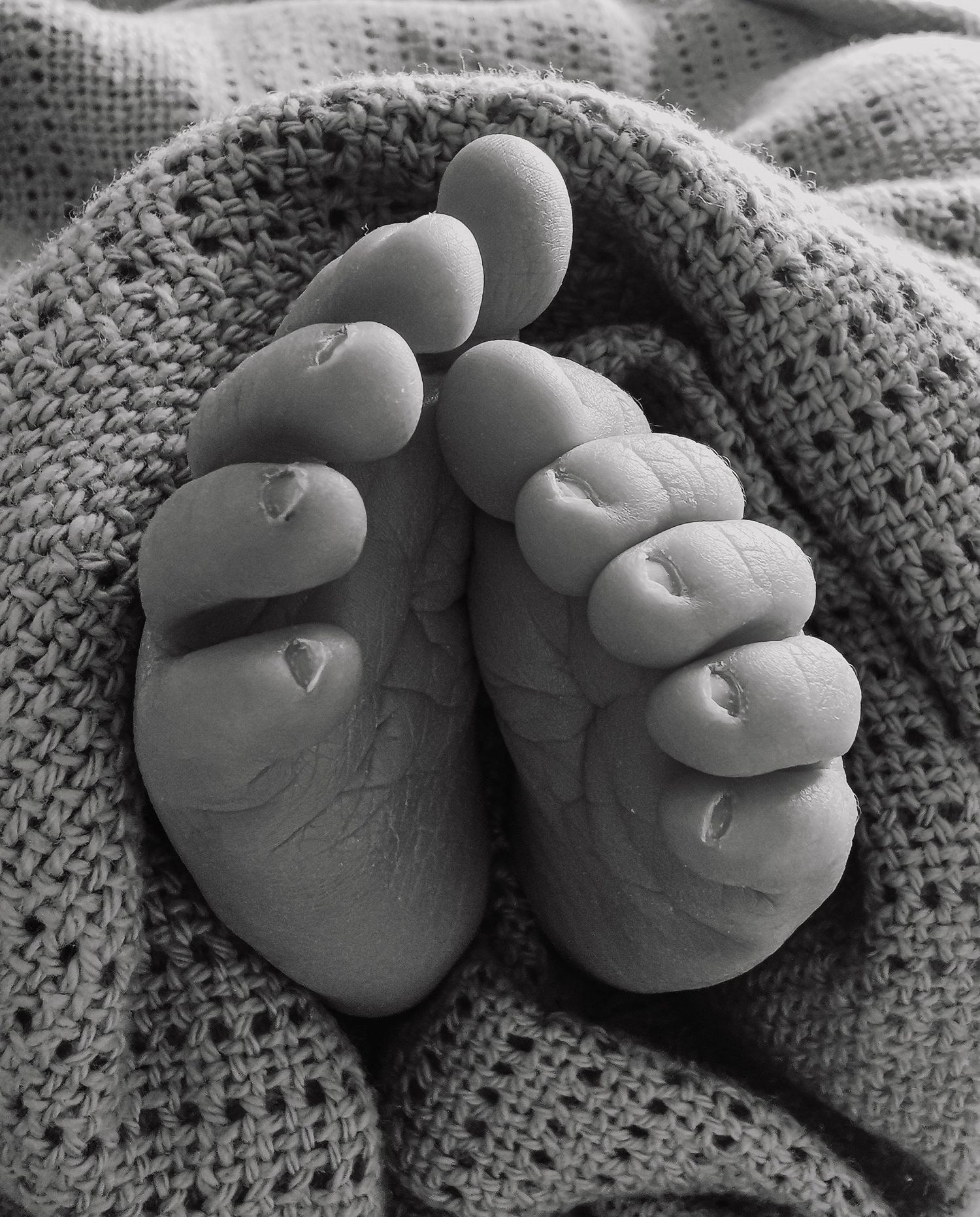 Close-up black and white photo of newborn baby toes wrapped in a soft knit blanket.