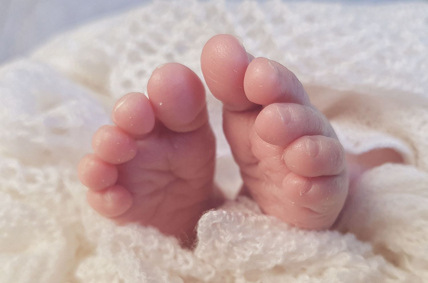 Close-up of tiny newborn baby feet wrapped in a soft white knit blanket.