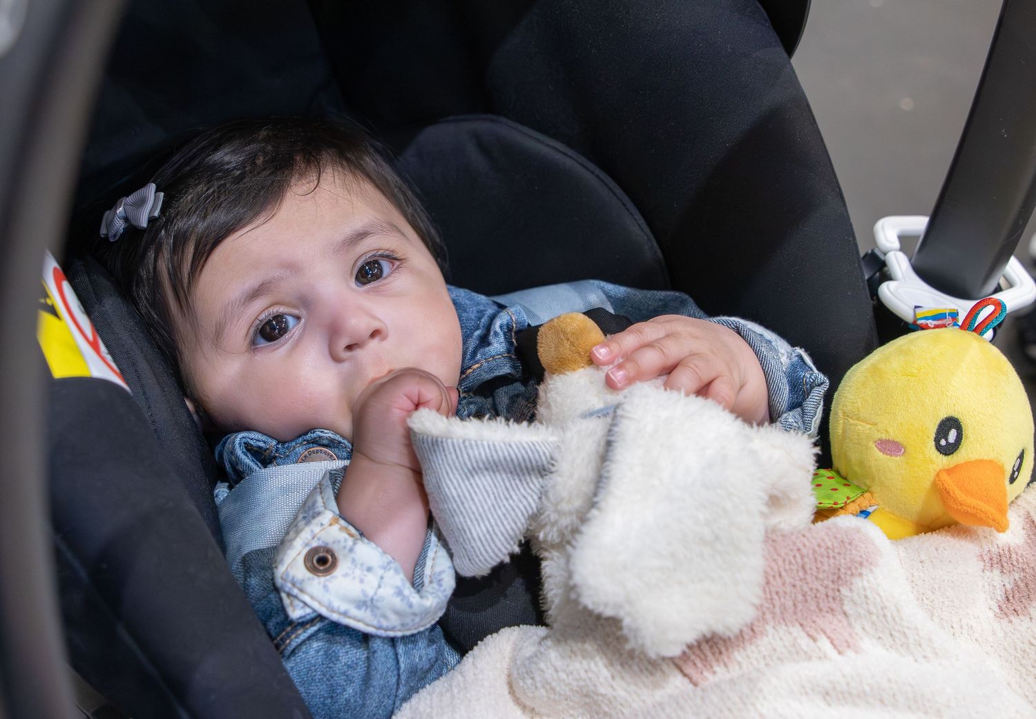 Cute baby girl in a car seat holding a stuffed animal toy with a yellow duck plush nearby.