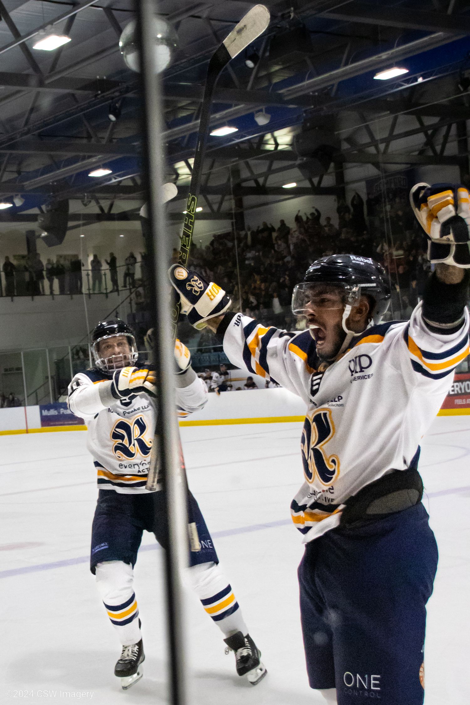 Hockey players in navy and white uniforms celebrating along the boards during a game.
