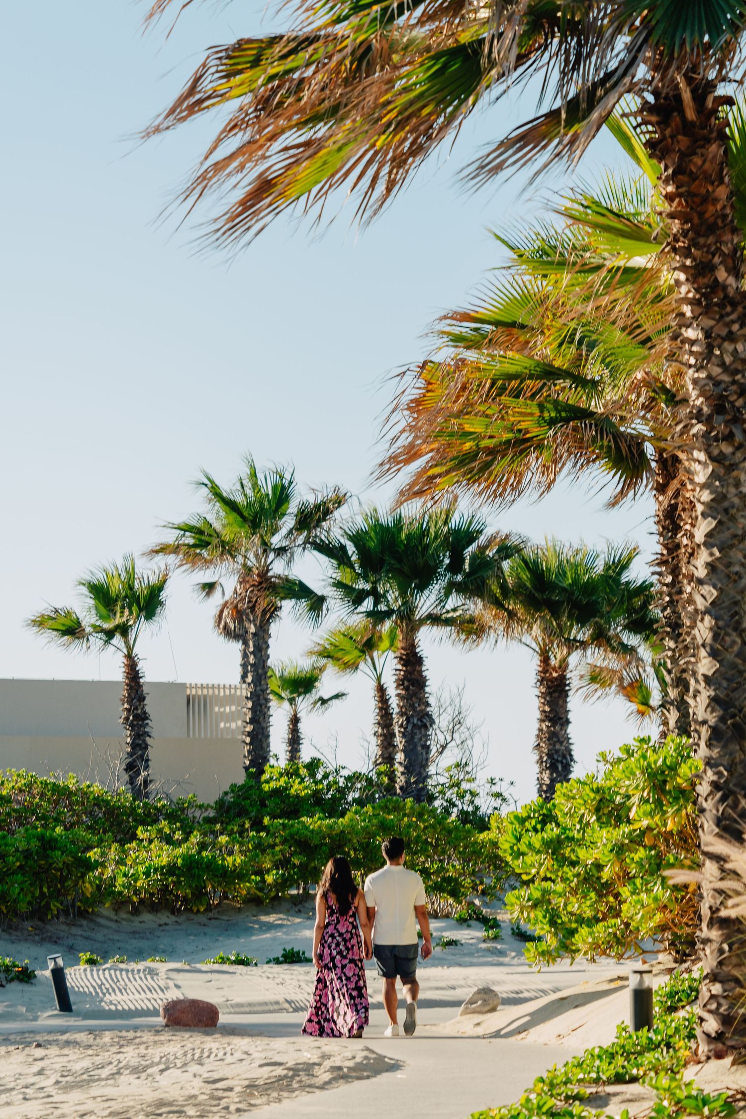 Row of palm trees lining a beachside pathway with sand and ocean views.