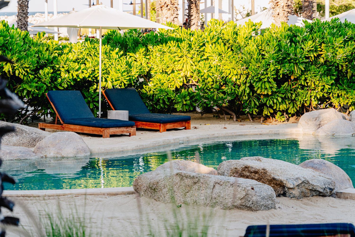 Scenic resort pool with cascading waterfalls and lush tropical landscaping in a serene garden environment.