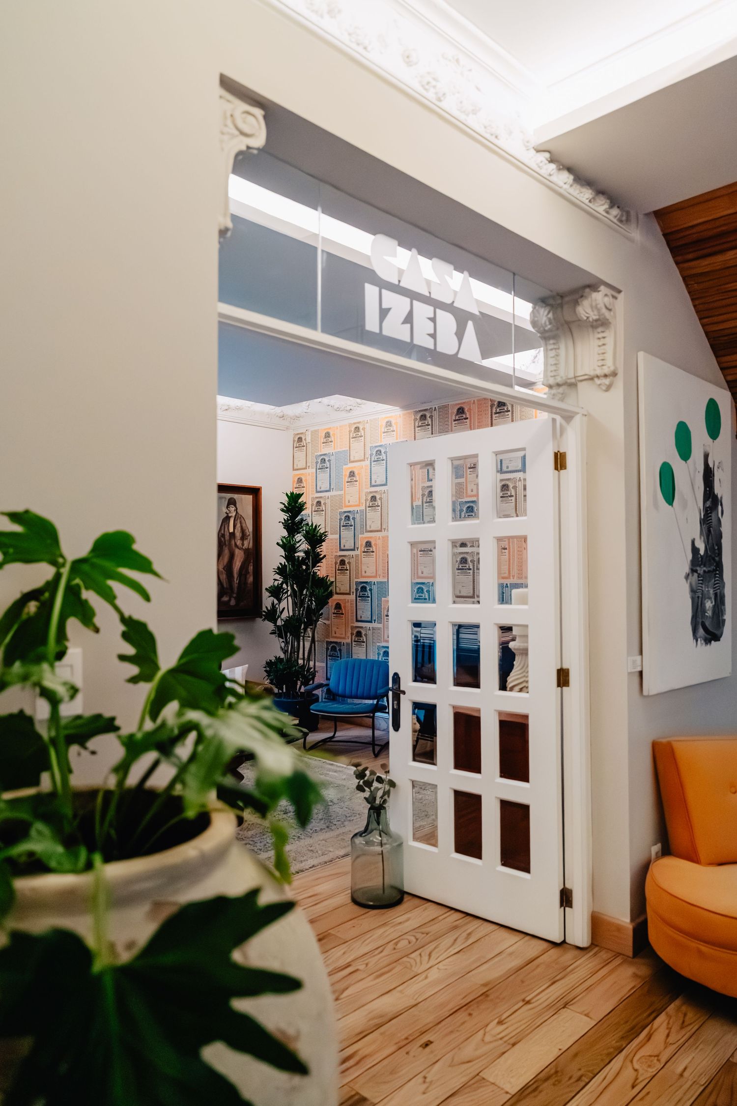 Bright modern office space with hardwood floors, large windows, white walls, and green potted plants in corner.