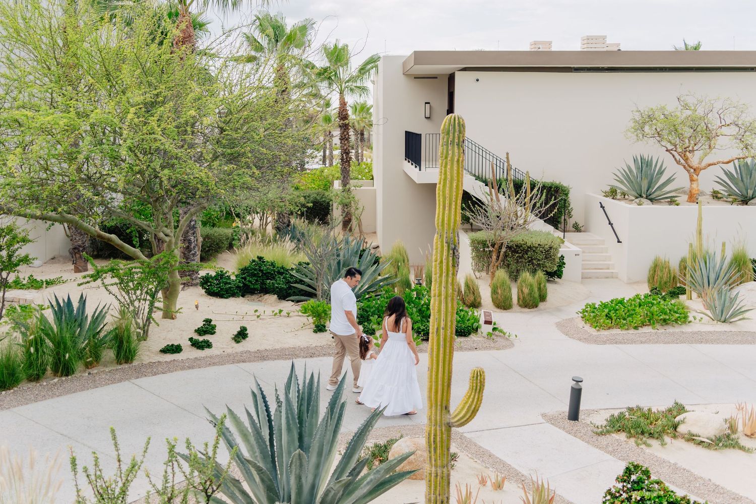 A series of desert landscaping photos showing succulent plants, cacti, and winding pathways in a modern garden setting.