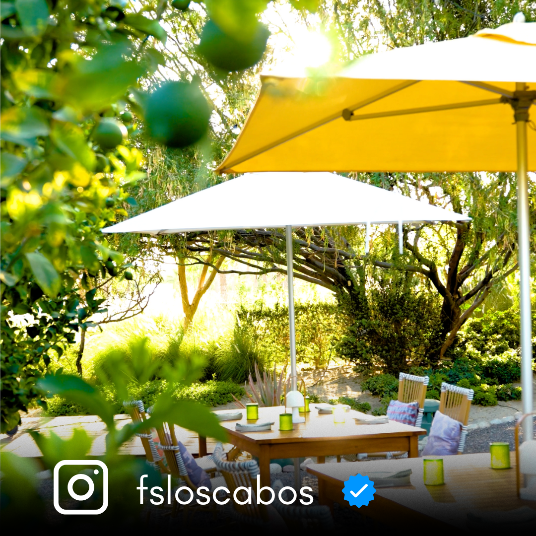 Outdoor dining area with yellow umbrellas and lush greenery.