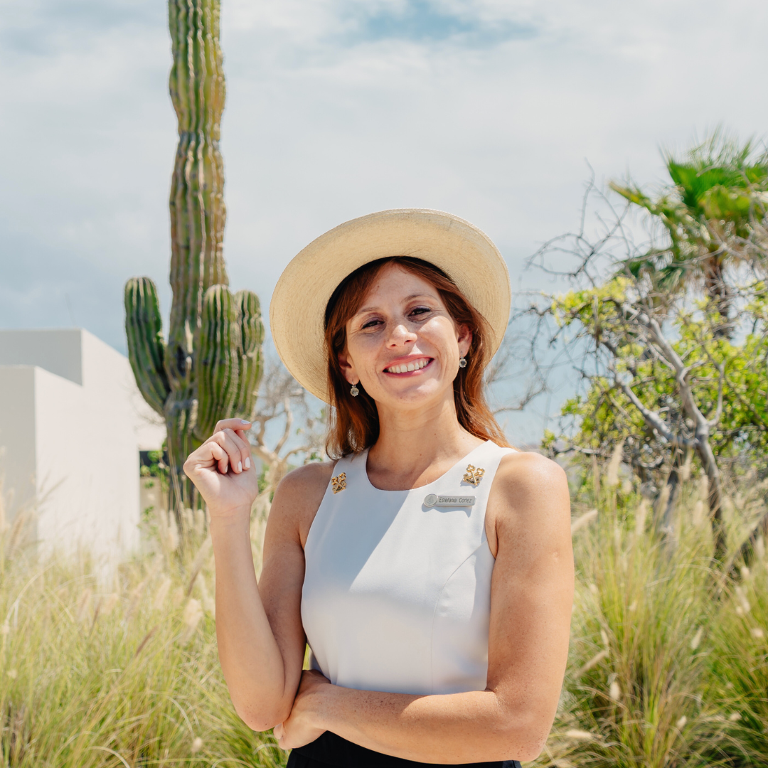 Desert garden setting with tall cactus plants and mountain views.