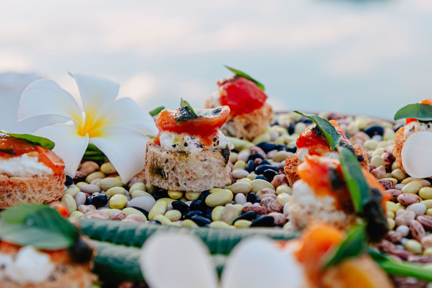 Elegant plated appetizers with fresh flowers and garnishes on a decorative stone surface.