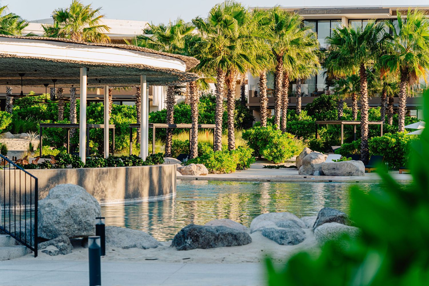 Luxury resort pool surrounded by lush palm trees and tropical landscaping with lounge chairs at sunset.