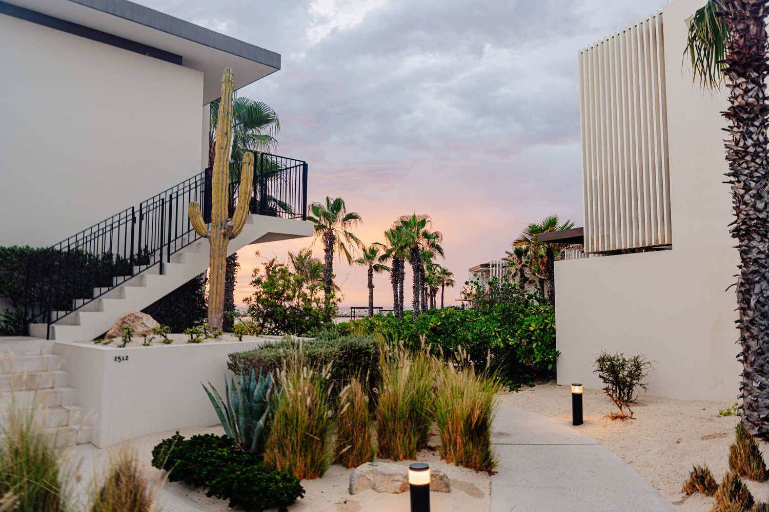 A modern desert landscape design features ornamental grasses and architectural elements against a sunset sky.