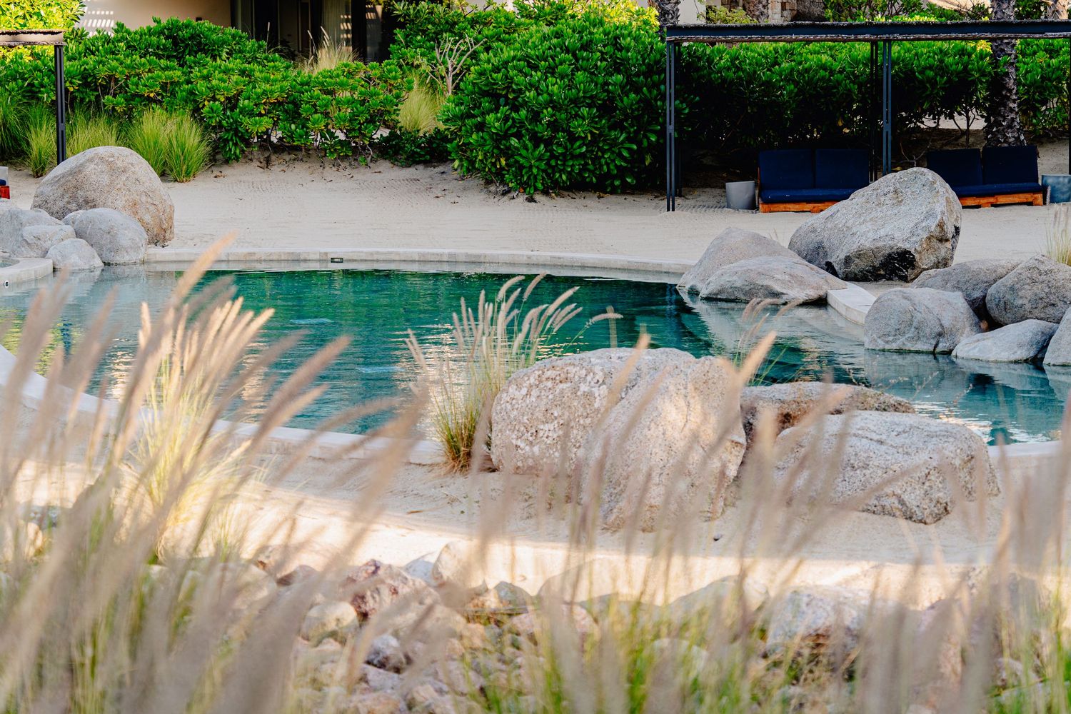 Decorative grasses and stone landscaping surround a tranquil blue swimming pool in a backyard setting.