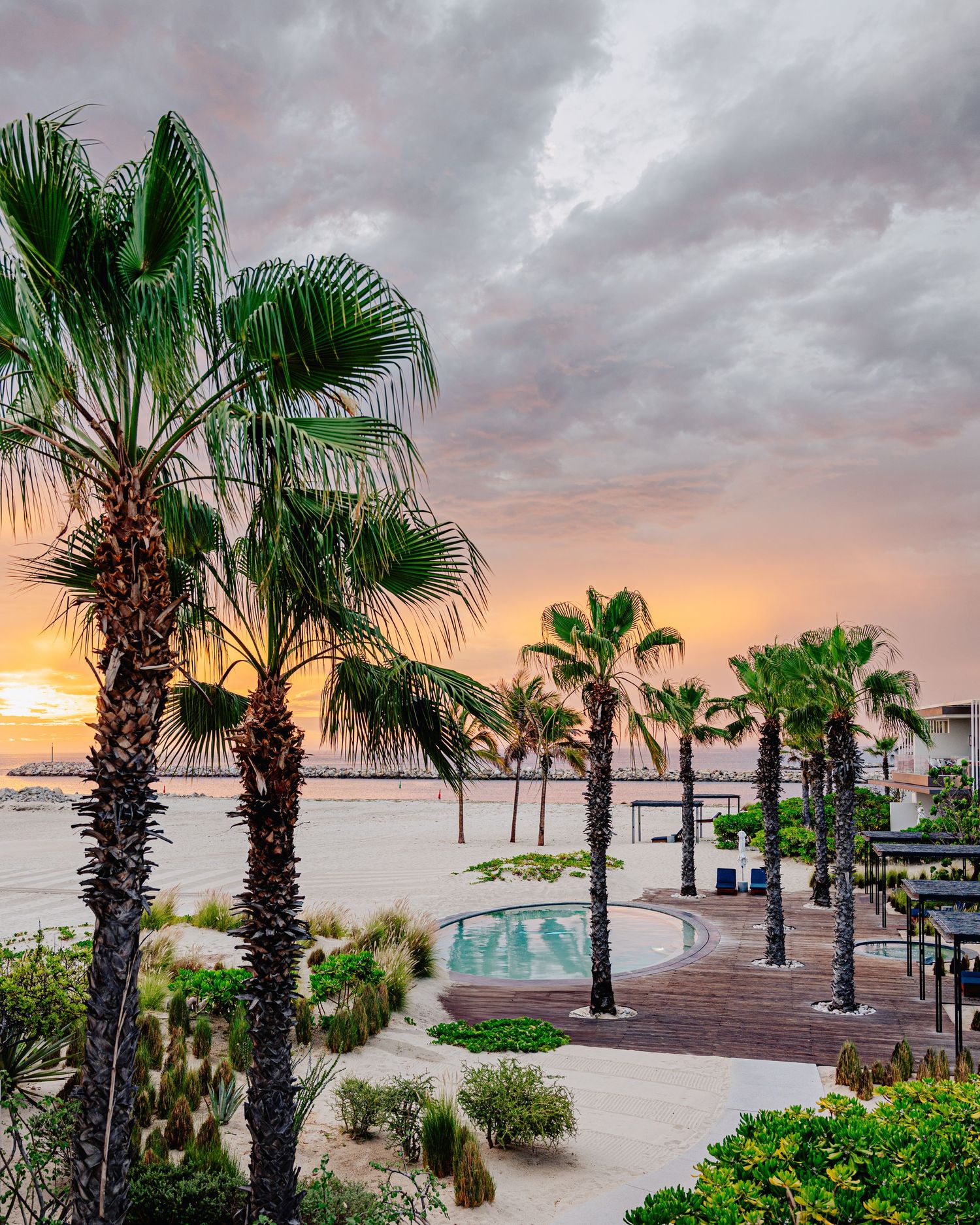 Beachfront resort landscape with palm trees and swimming pool at sunset creating a tropical paradise atmosphere.