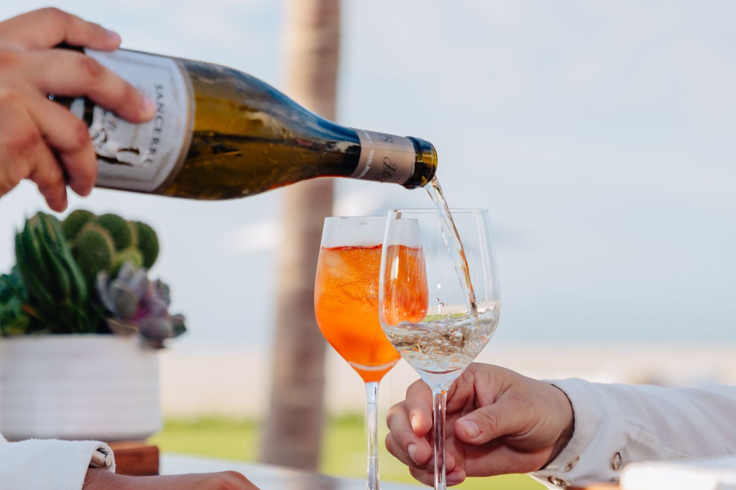 A hand pours white wine from a bottle into a glass during an outdoor dining scene with a succulent plant in view.
